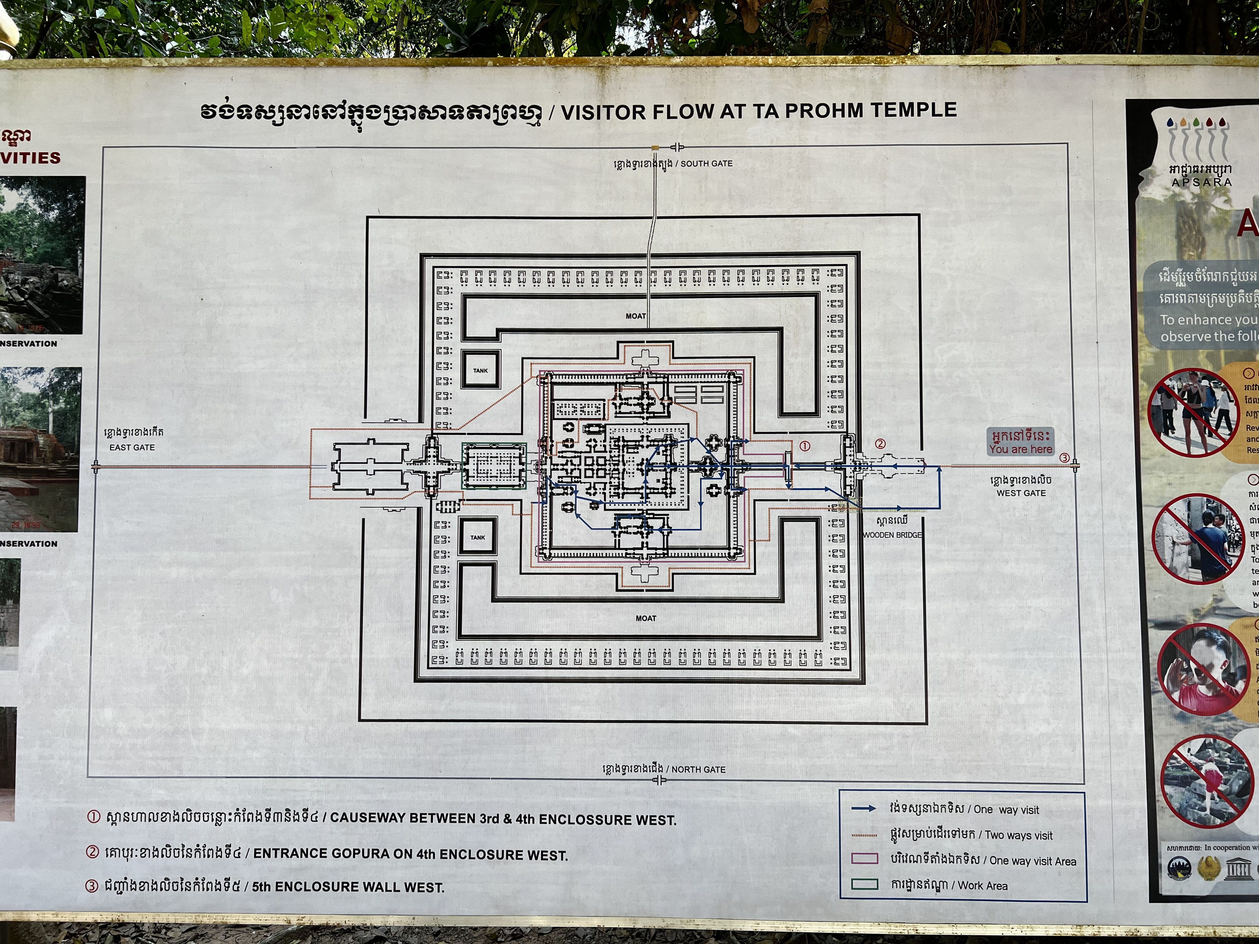 รูปถ่าย กัมพูชา(Cambodia) เสียมราฐ(Siem Reap) ปราสาทตาพรหม(Ta Prohm) 2023-01 131