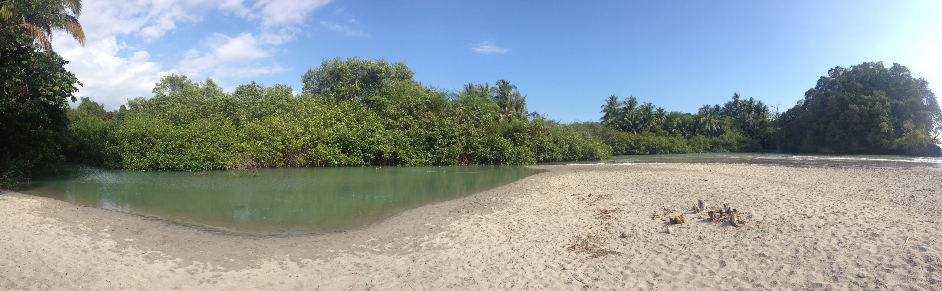 รูปถ่าย คอสตาริกา(Costa Rica) มานวยล์อันโตนีโอ(Manuel Antonio) 2015-03 350