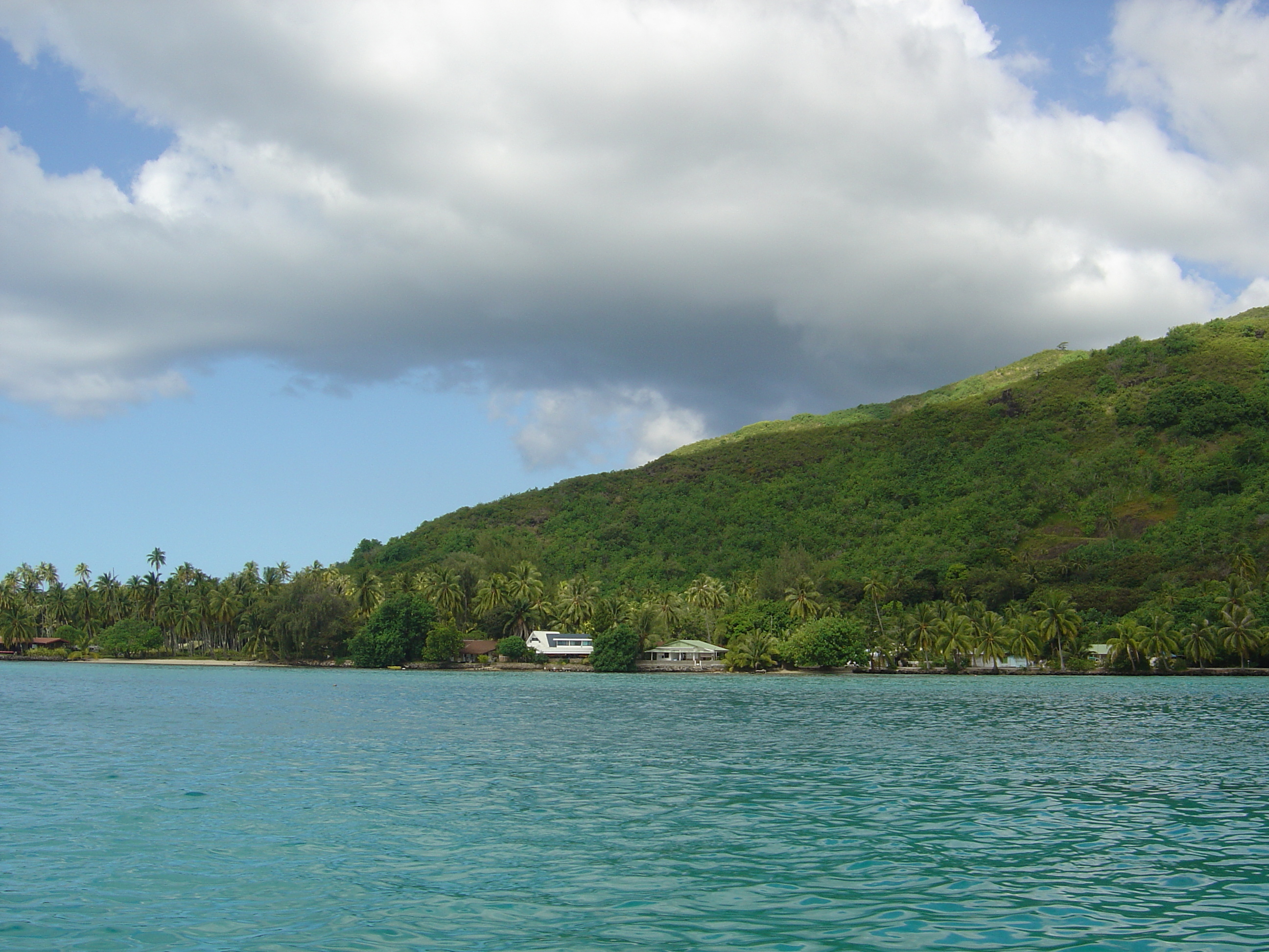 รูปถ่าย เฟรนช์โพลี่นีเซีย(Polynesia) มูเรีย(Moorea) 2006-04 208