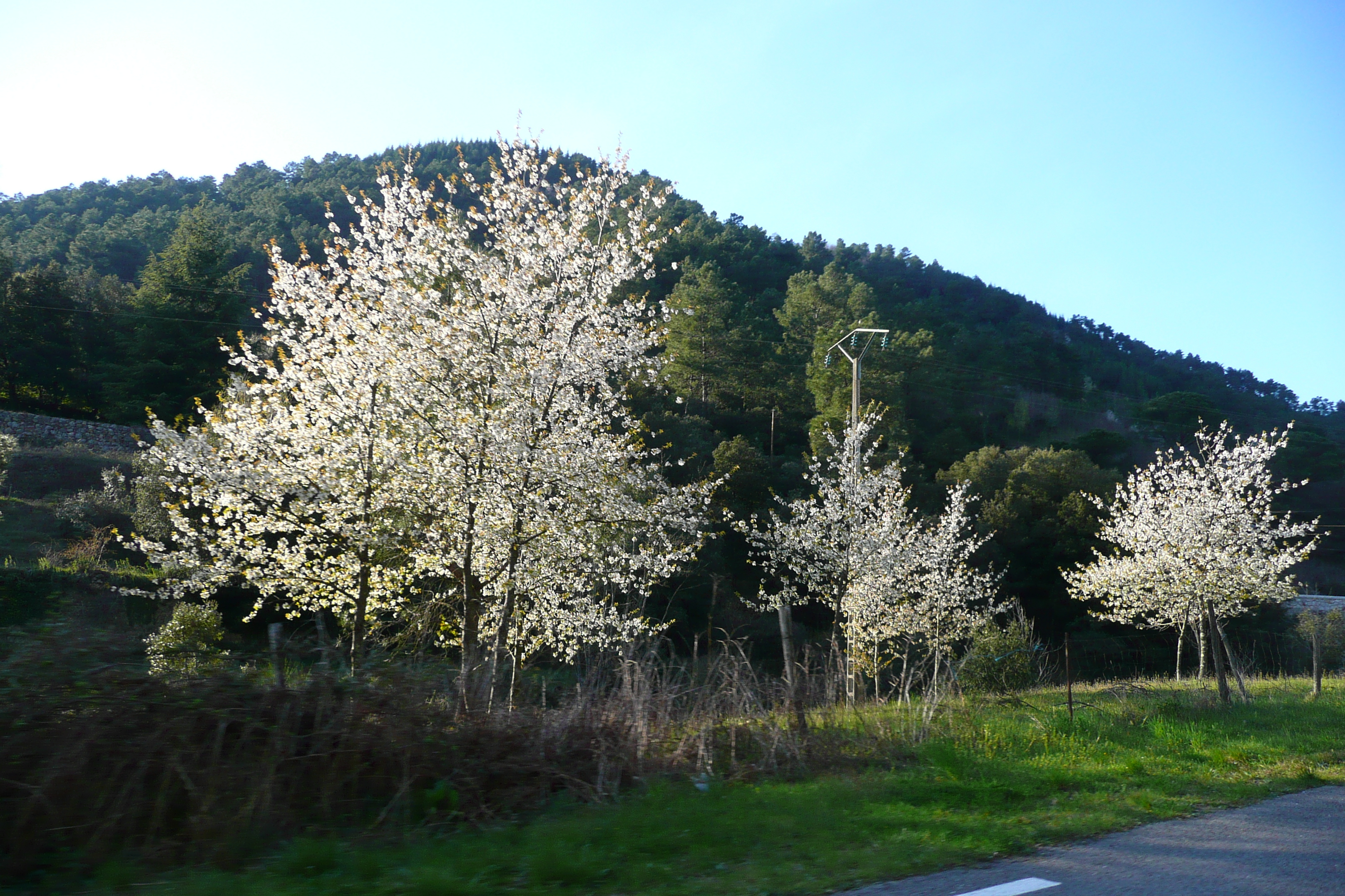 รูปถ่าย ฝรั่งเศส(France) เทือกเขาเซแวน(Cevennes Mountains) 2008-04 41