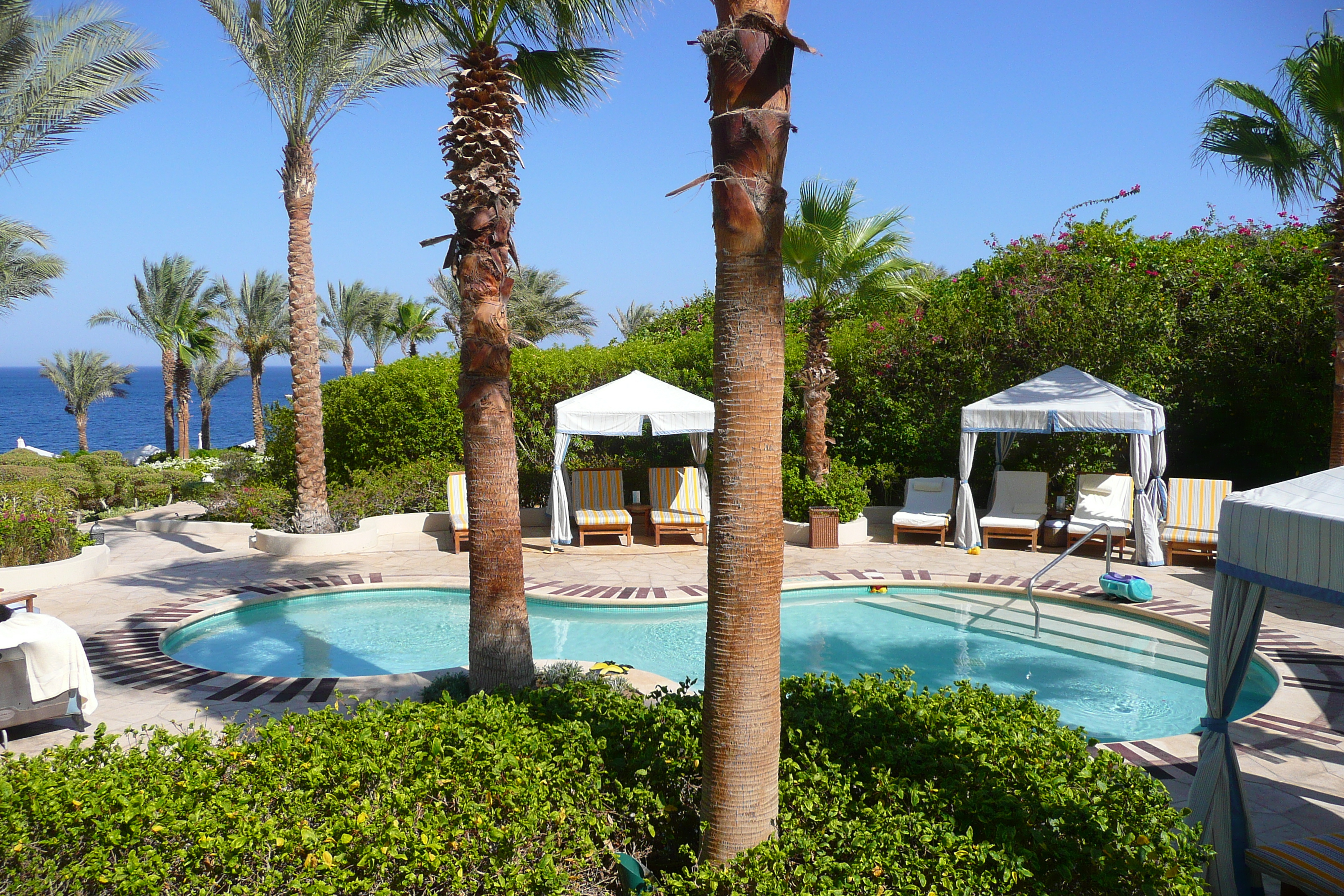 รูปถ่าย อียิปต์(Egypt) ชาร์มเอลชีค(Sharm el Sheikh) โรงแรมโฟร์ซีซันส์(Four Seasons Hotel) สระว่ายน้ำอัลวาฮา โฟร์ซีซันส์(Four Seasons Al Waha Pool) 2008-06 17