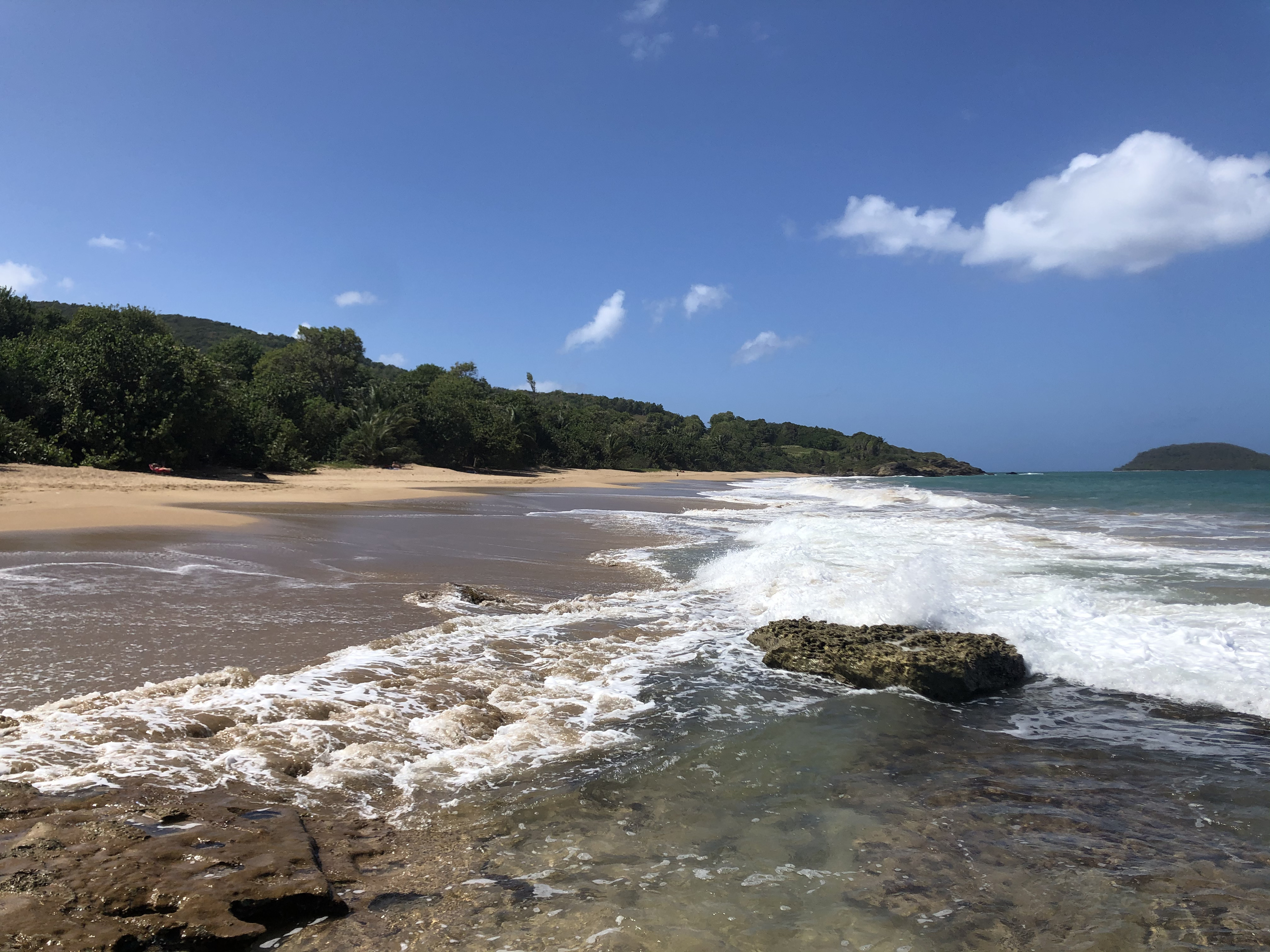 รูปถ่าย กวาเดอลูป(Guadeloupe) หาดกลูญี(Clugny Beach) 2021-02 11
