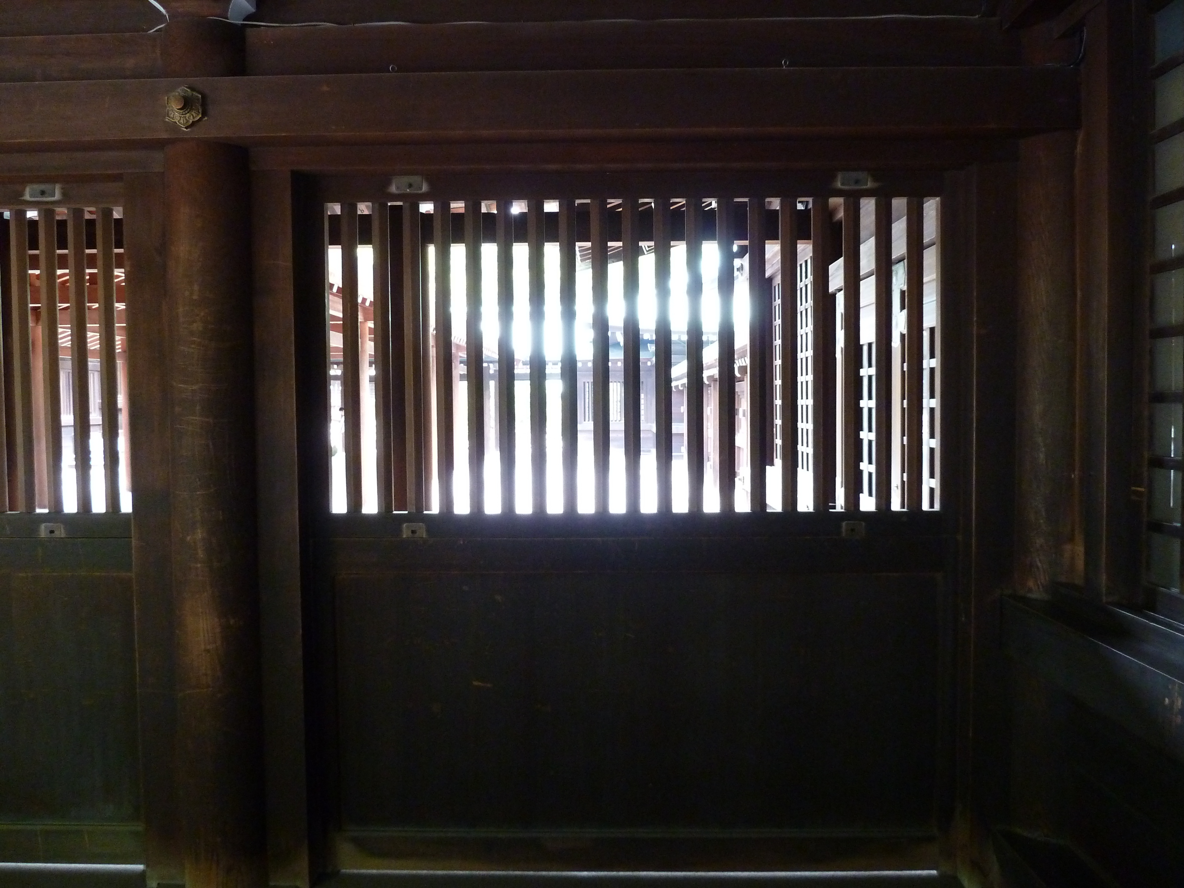 รูปถ่าย ญี่ปุ่น(Japan) โตเกียว(Tokyo) สวนโยโยงิ(Yoyogi Park) 2010-06 26