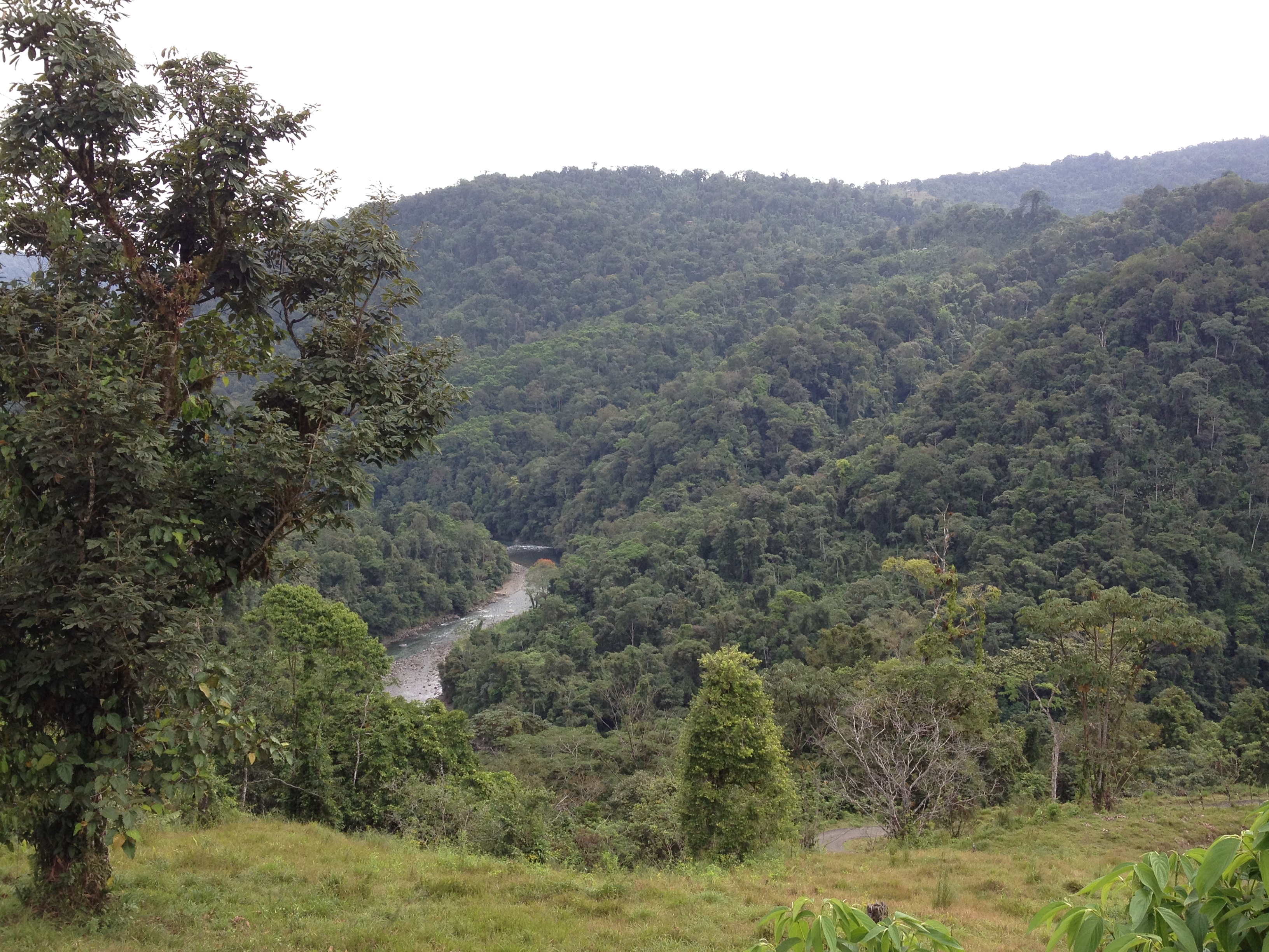 รูปถ่าย คอสตาริกา(Costa Rica) แม่น้ำปากัวเร(Pacuare River) 2015-03 144