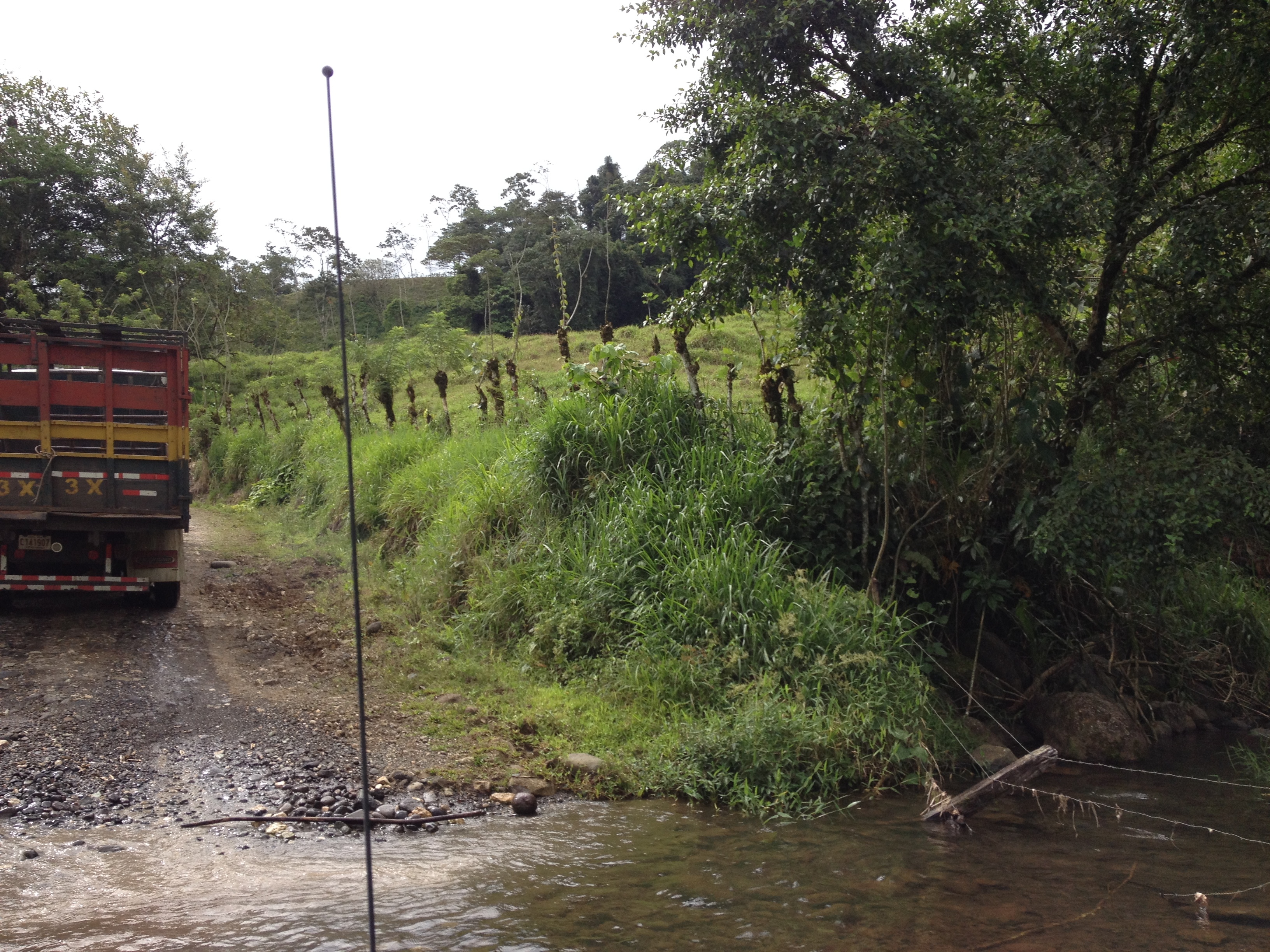 รูปถ่าย คอสตาริกา(Costa Rica) แม่น้ำปากัวเร(Pacuare River) 2015-03 126
