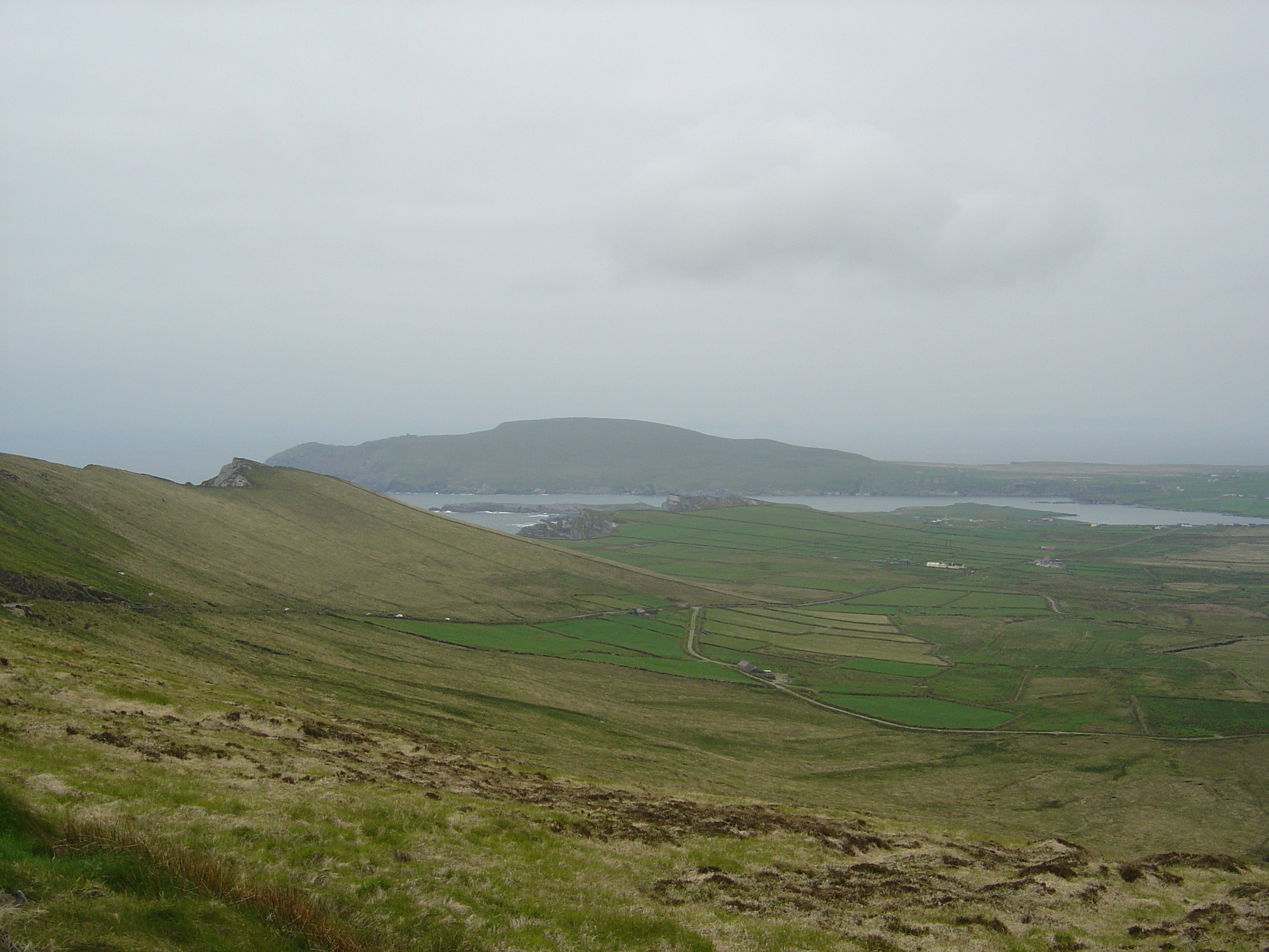 รูปถ่าย ไอร์แลนด์(Ireland) เคอร์รี่(Kerry) บาลลินสเกลลิกส์(Ballinskelligs) 2004-05 19
