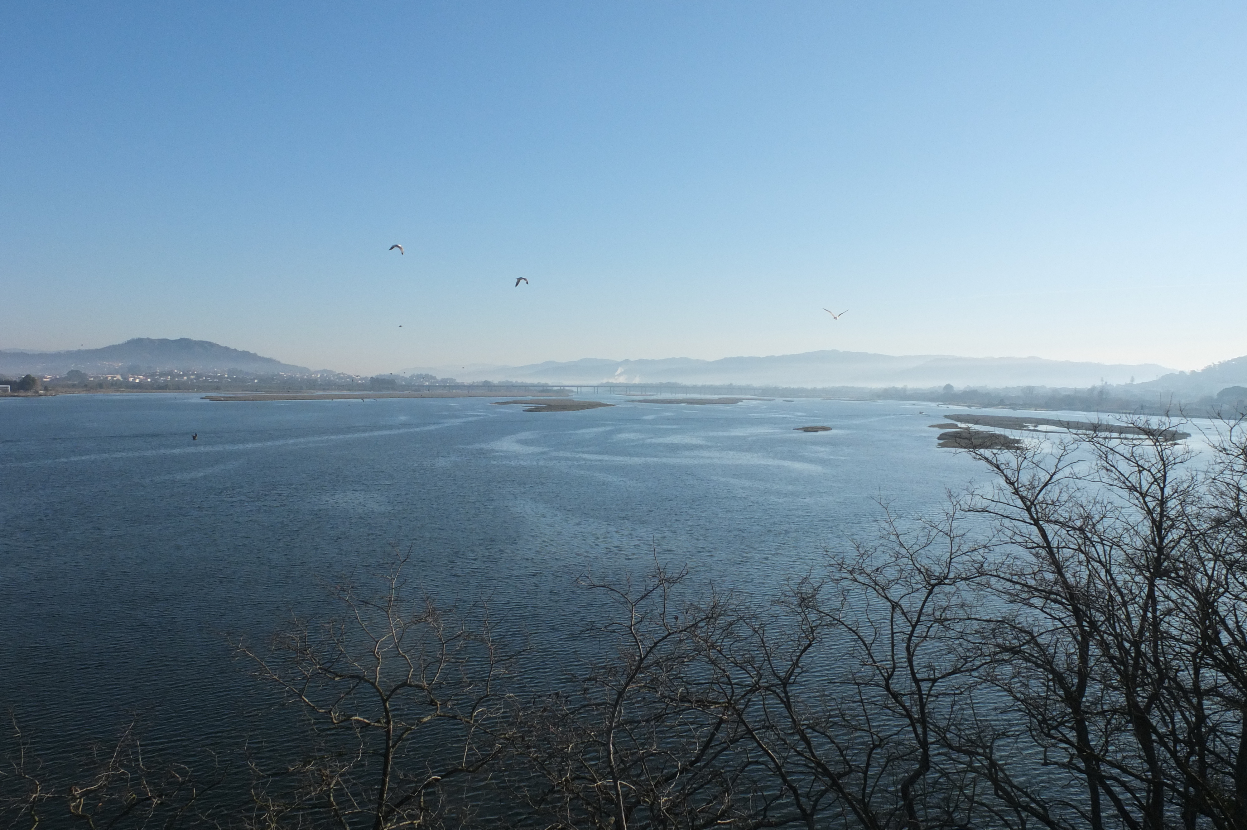 รูปถ่าย โปรตุเกส(Portugal) วีอานาดูกัชเตลู(Viana do Castelo) 2013-01 92