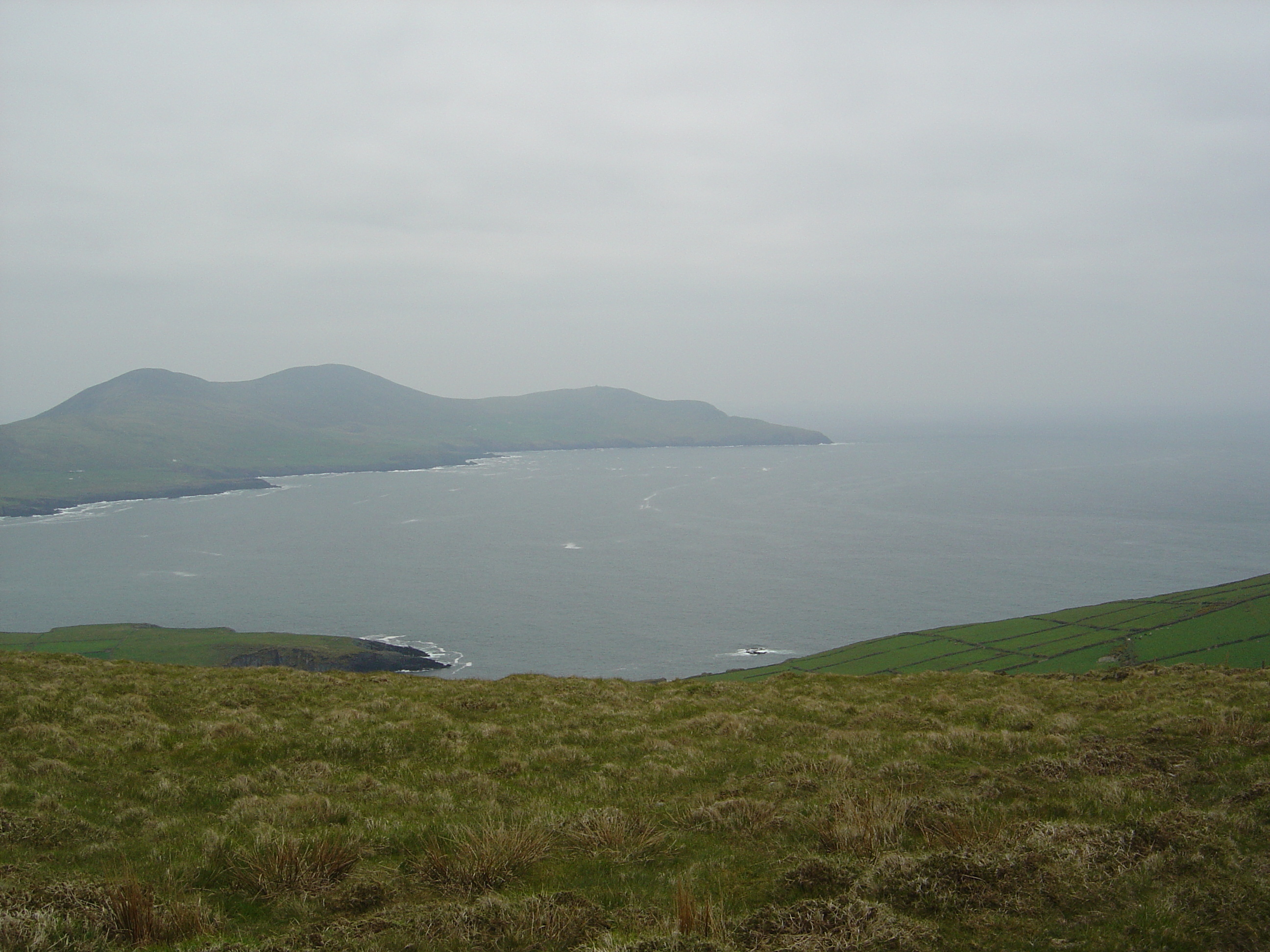 รูปถ่าย ไอร์แลนด์(Ireland) เคอร์รี่(Kerry) บาลลินสเกลลิกส์(Ballinskelligs) 2004-05 16