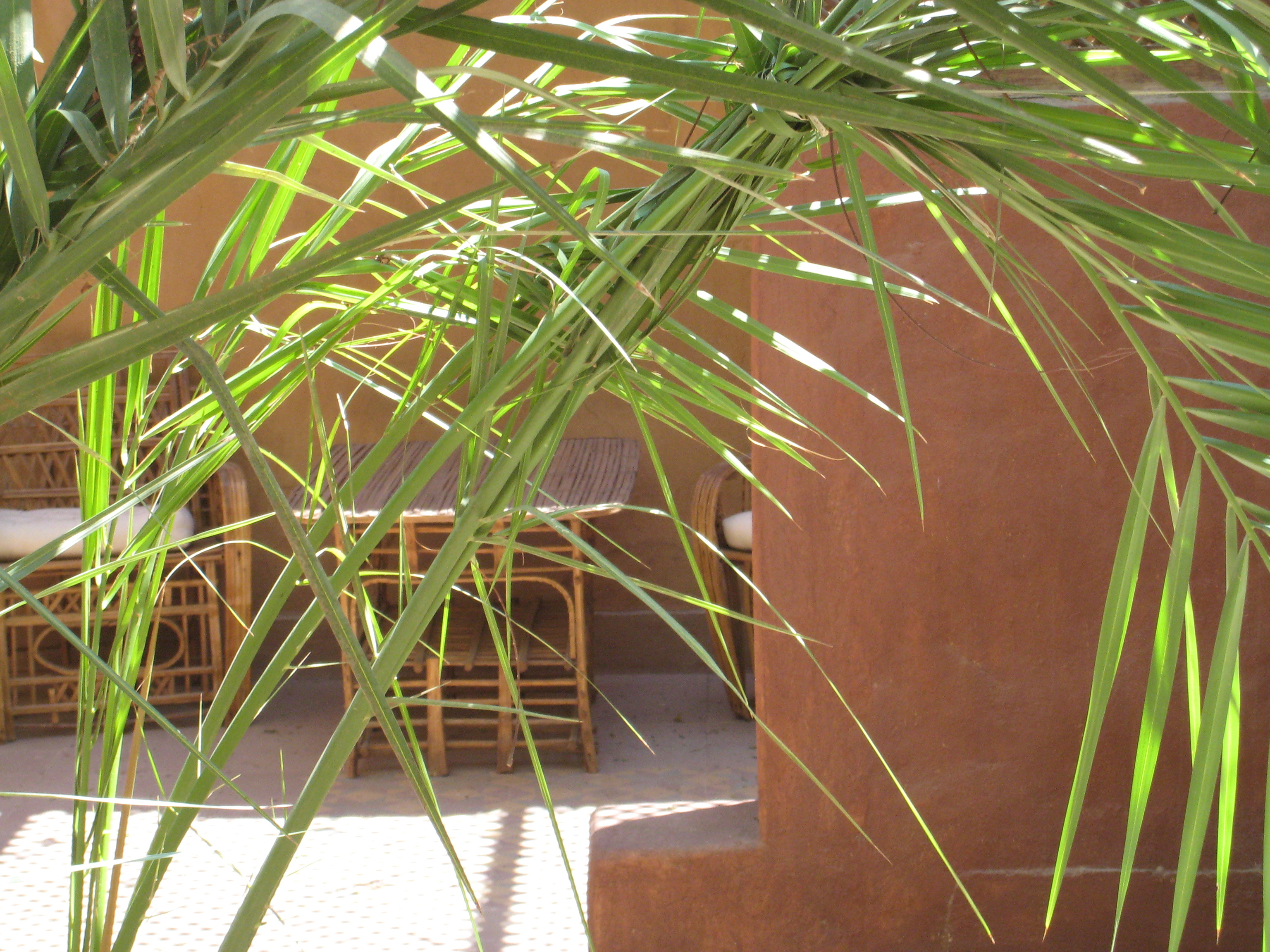 รูปถ่าย อียิปต์(Egypt) ลูซอร์(Luxor) โรงแรมอัลมูดีรา(Al Moudira Hotel) 2007-04 6