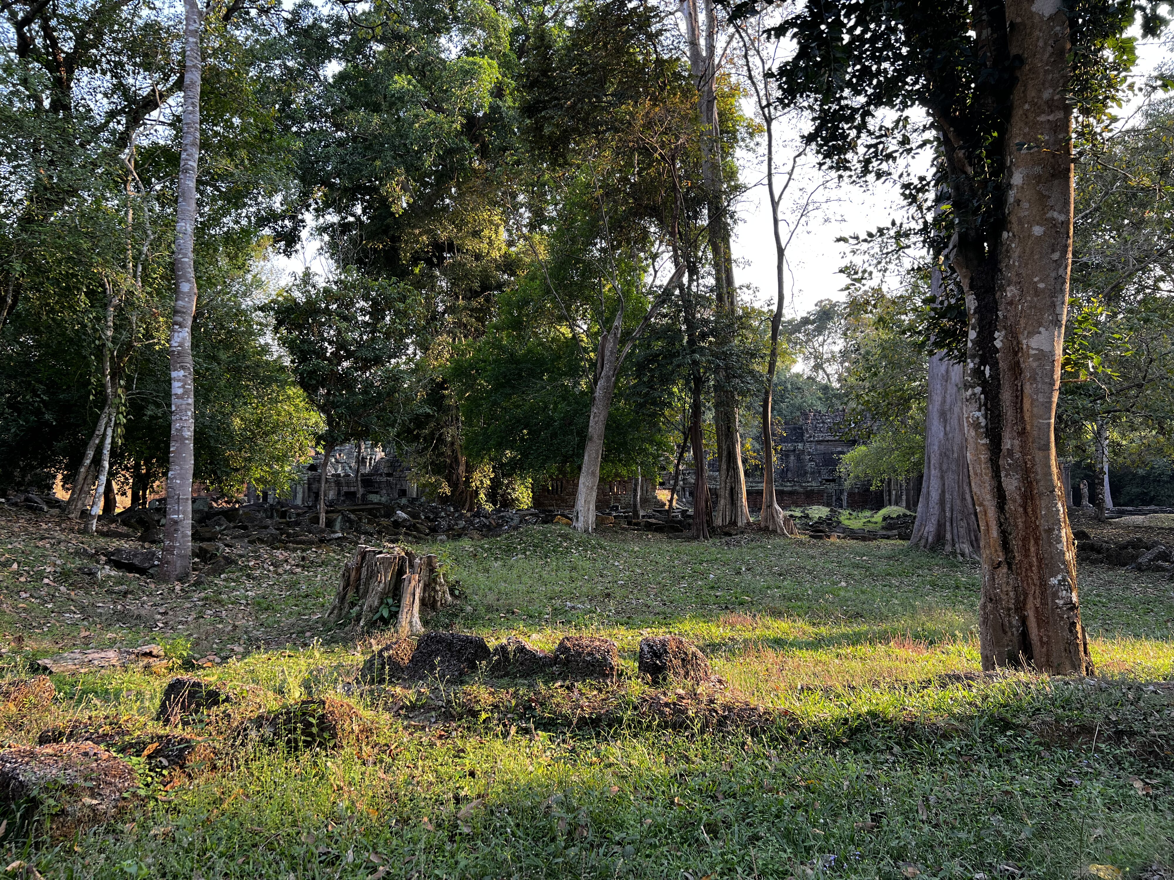 รูปถ่าย กัมพูชา(Cambodia) เสียมราฐ(Siem Reap) ปราสาทพระขรรค์(Preah Khan) 2023-01 71