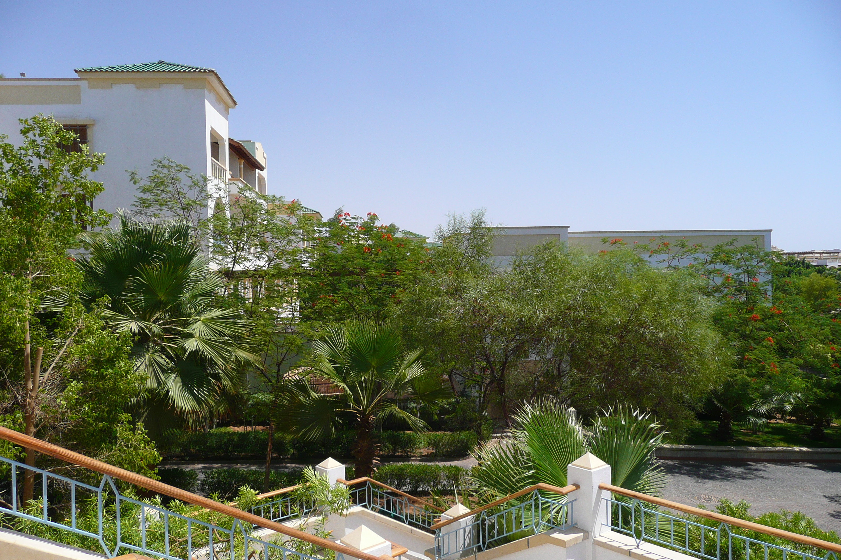 รูปถ่าย อียิปต์(Egypt) ชาร์มเอลชีค(Sharm el Sheikh) โรงแรมไฮแอต(Hyatt Hotel) 2008-06 101