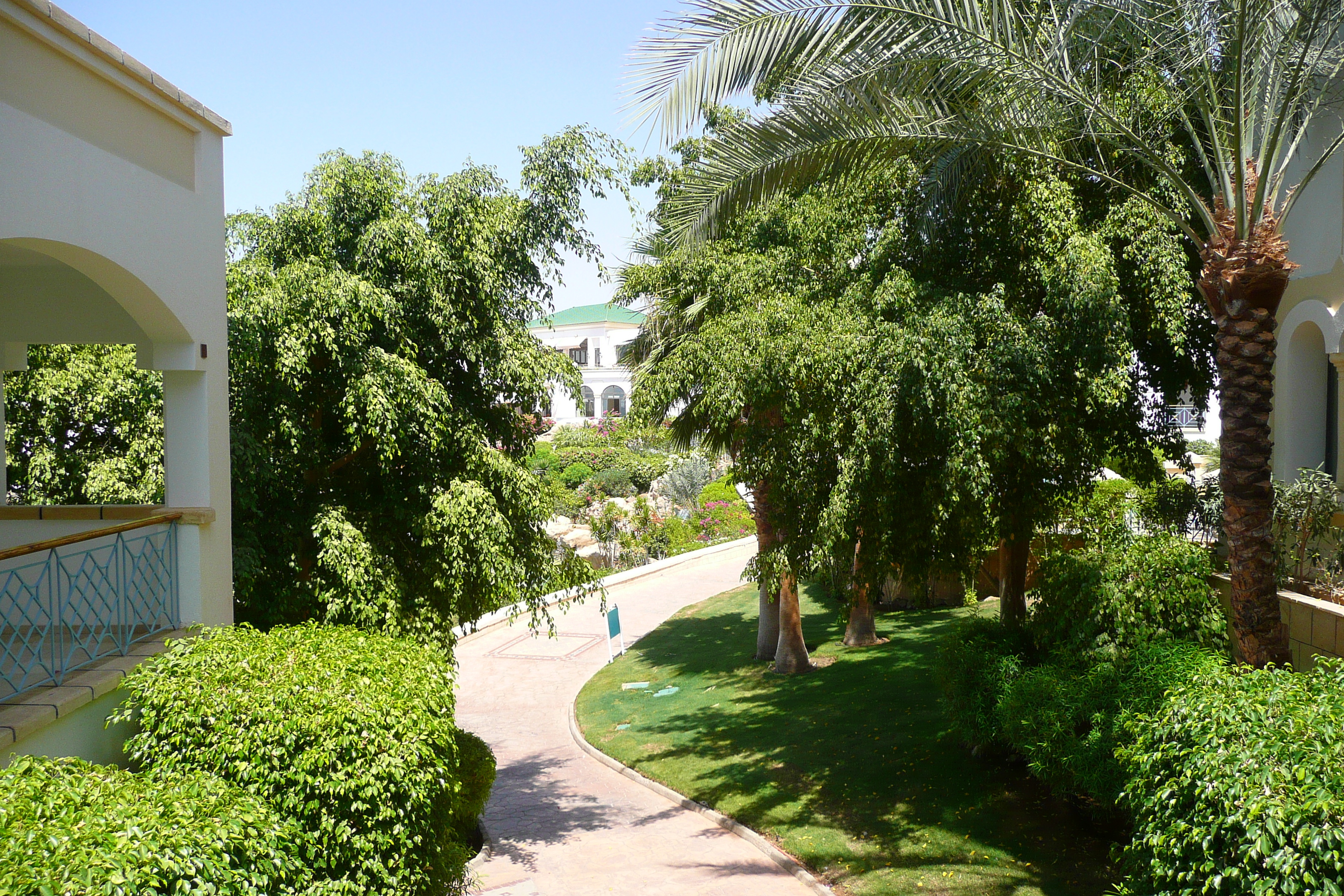 รูปถ่าย อียิปต์(Egypt) ชาร์มเอลชีค(Sharm el Sheikh) โรงแรมไฮแอต(Hyatt Hotel) 2008-06 162