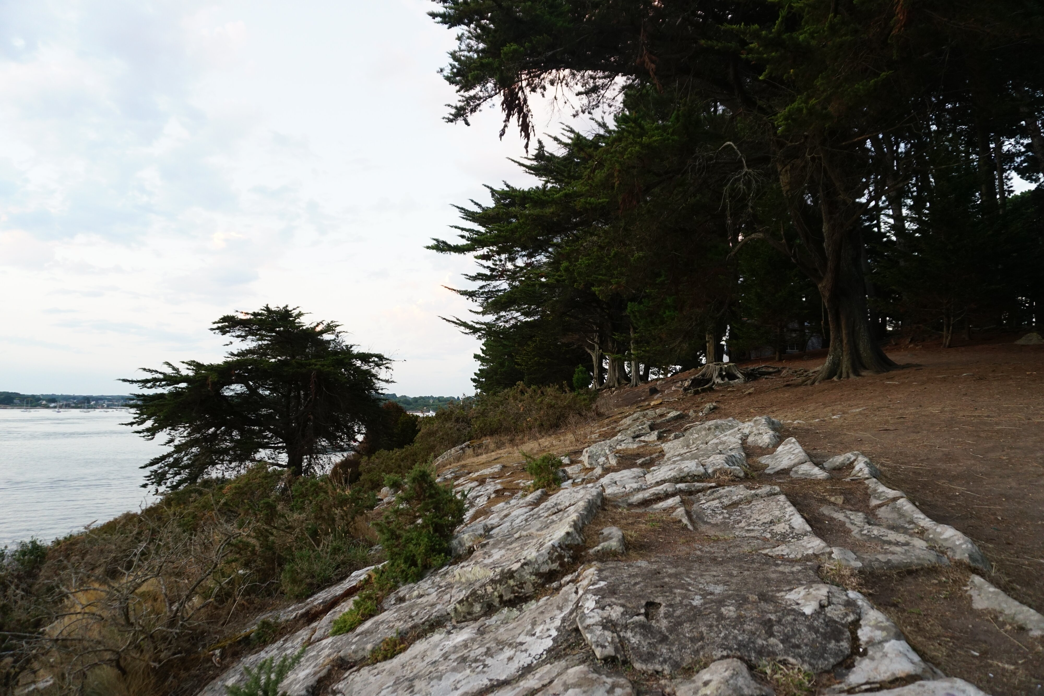 รูปถ่าย ฝรั่งเศส(France) เกาะโอมวน(Ile-aux-Moines) 2016-08 7