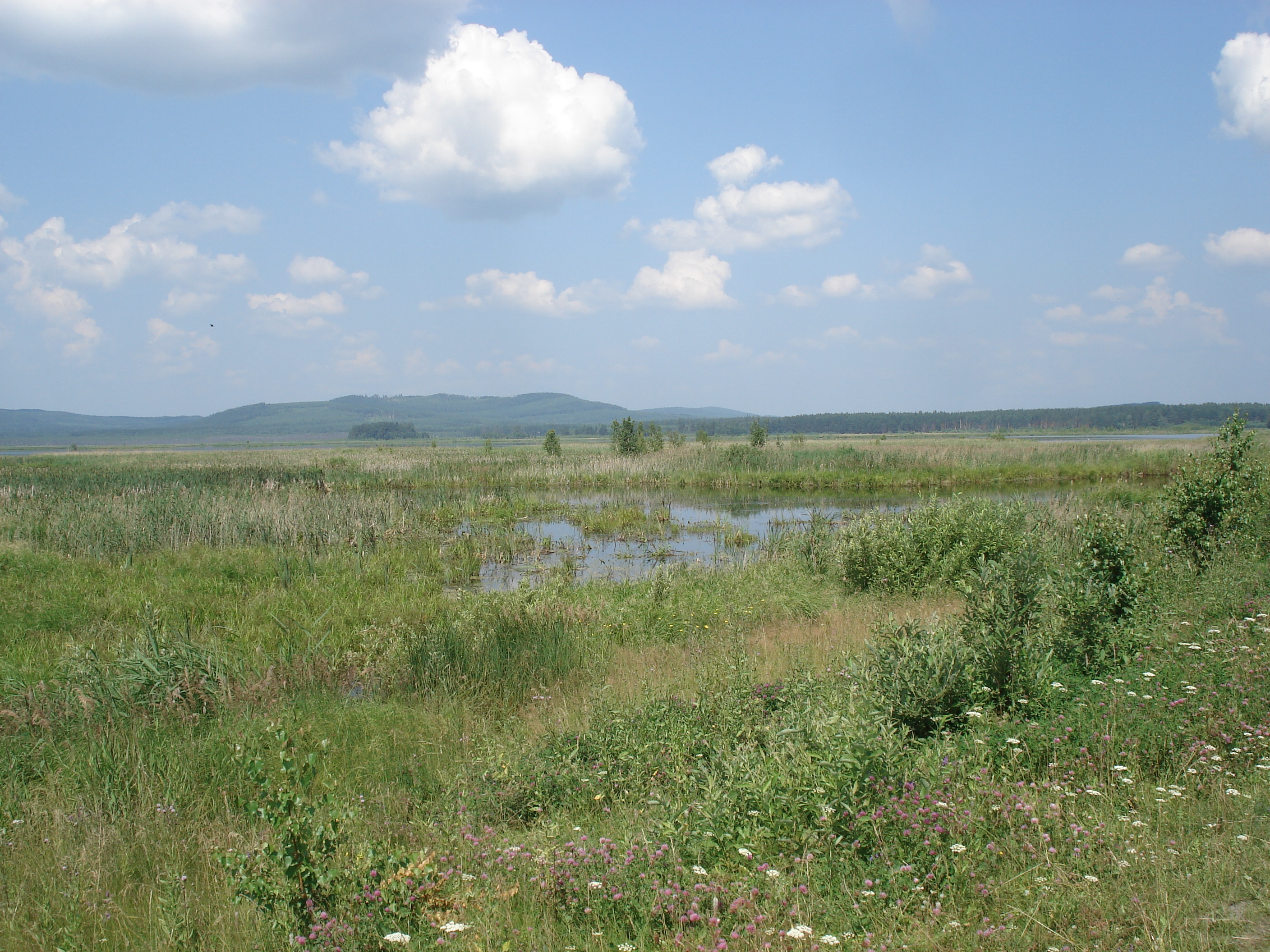 รูปถ่าย รัสเซีย(Russia) อูรัล(Ural) 2006-07 182