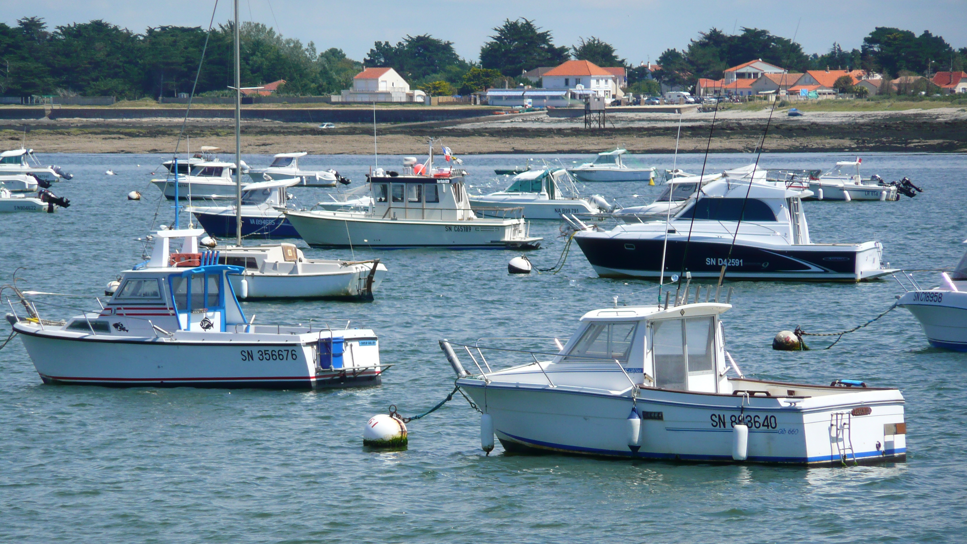 รูปถ่าย ฝรั่งเศส(France) เพรฟาย(Prefailles) แหลมแซ็ง-ฌีลดา(La pointe Saint Gildas) 2007-08 16