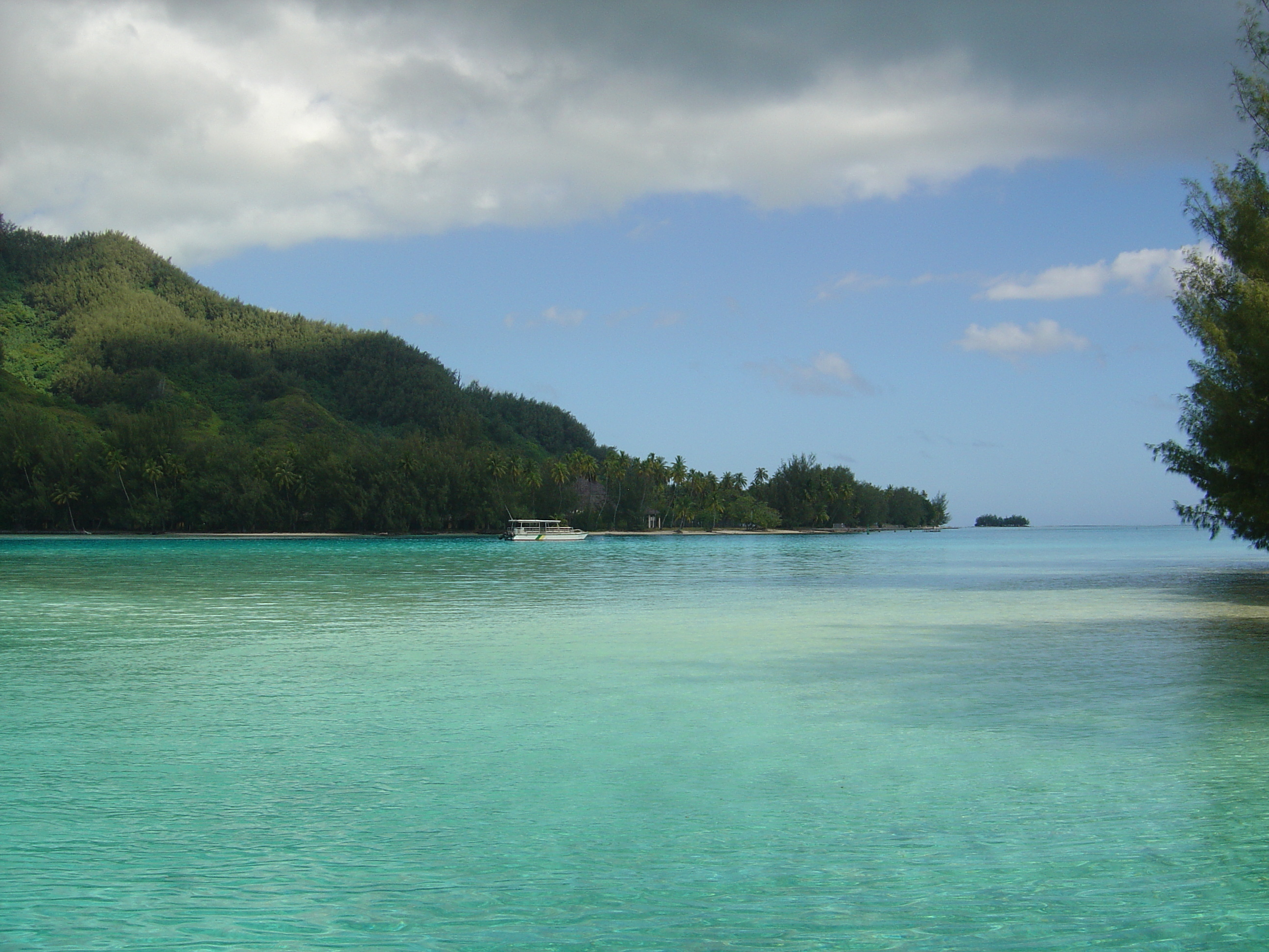 รูปถ่าย เฟรนช์โพลี่นีเซีย(Polynesia) มูเรีย(Moorea) 2006-04 13