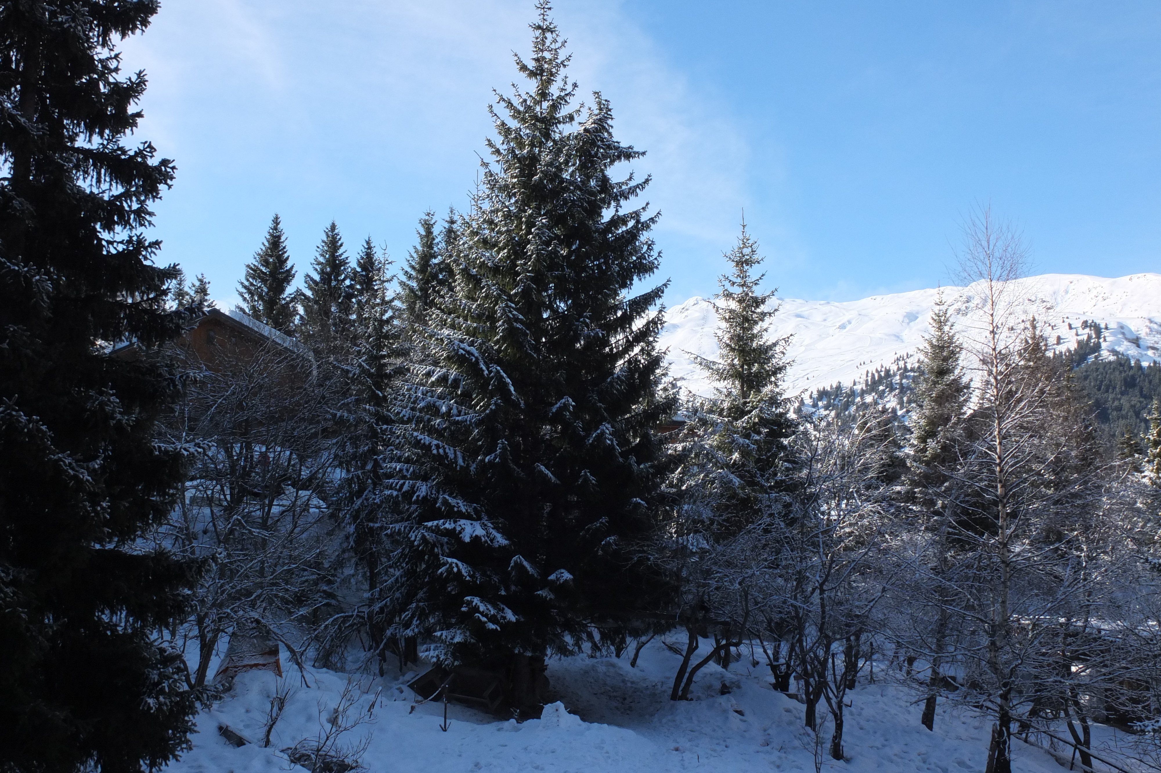 รูปถ่าย ฝรั่งเศส(France) เลทรัววาเล(Les 3 Vallees) 2013-03 313