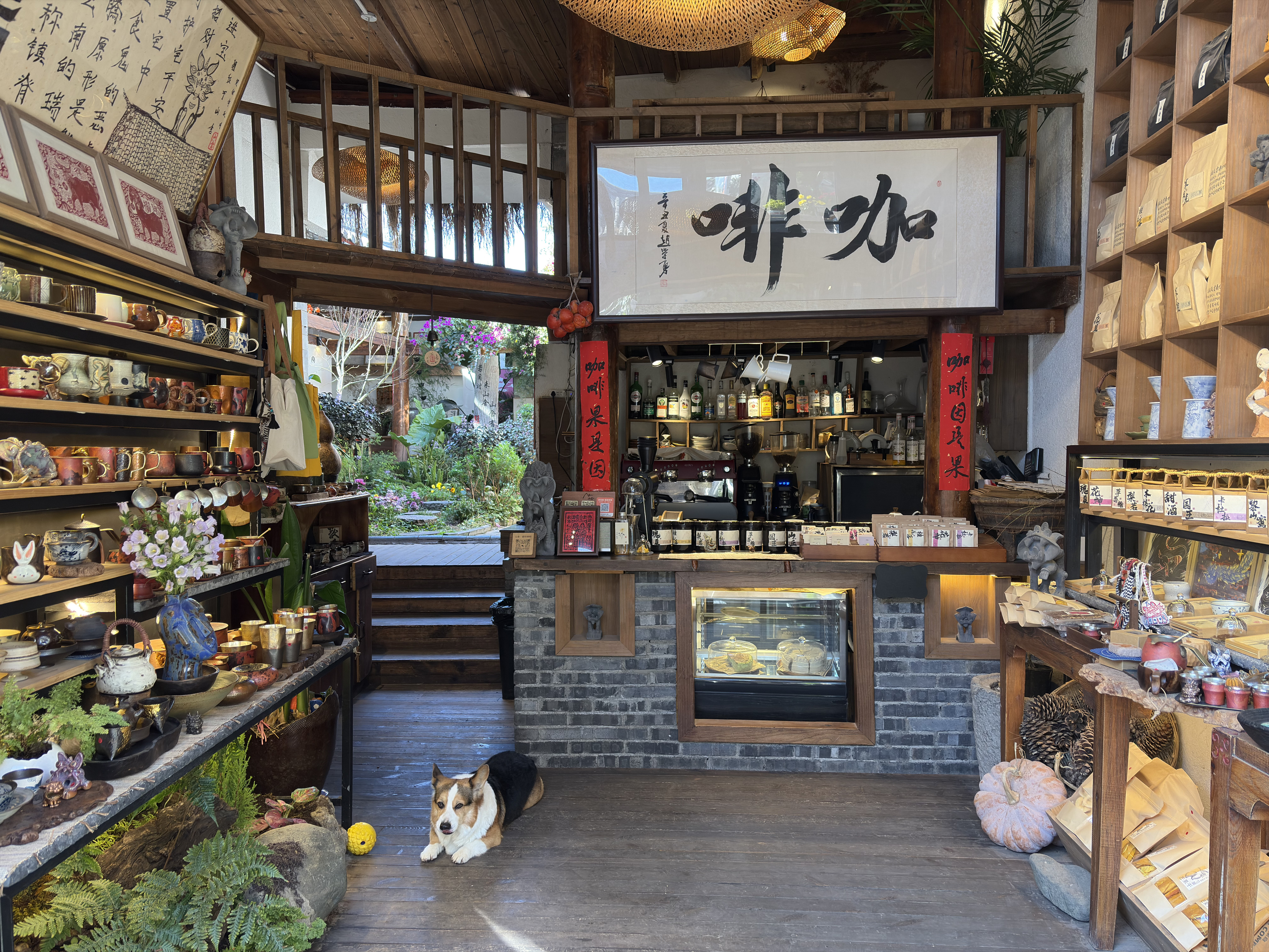 รูปถ่าย จีน(China) ลี่เจียง(Lijiang) 2026-01 182
