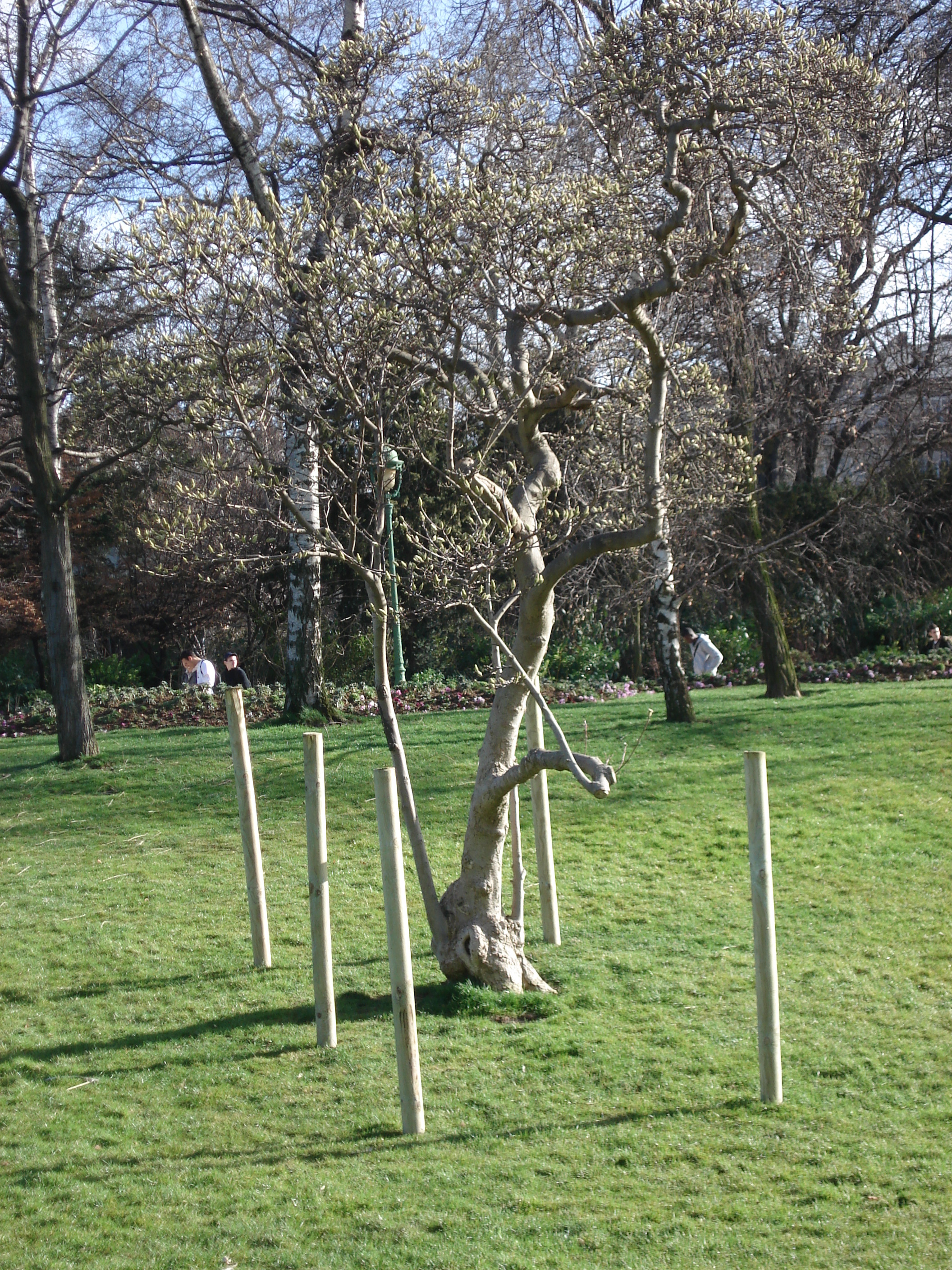 รูปถ่าย ฝรั่งเศส(France) ปารีส(Paris) สวนมงโซ(Monceau Garden) 2006-03 40
