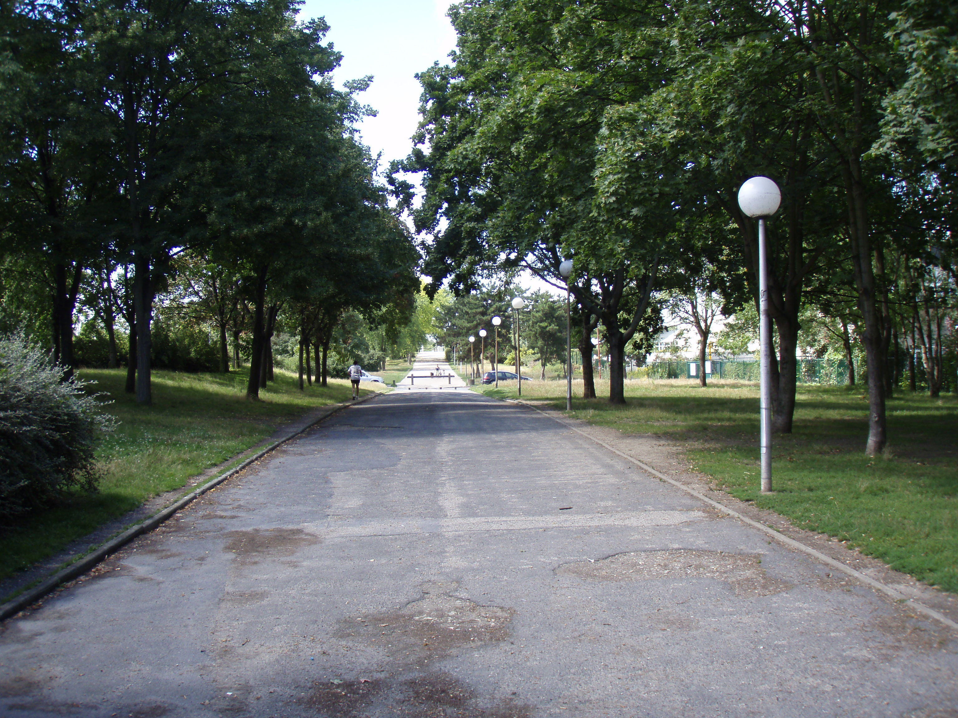 รูปถ่าย ฝรั่งเศส(France) โคลอมบ์(Colombes) เกาะมาร็องต์(L'ile Marrante) 2007-07 29