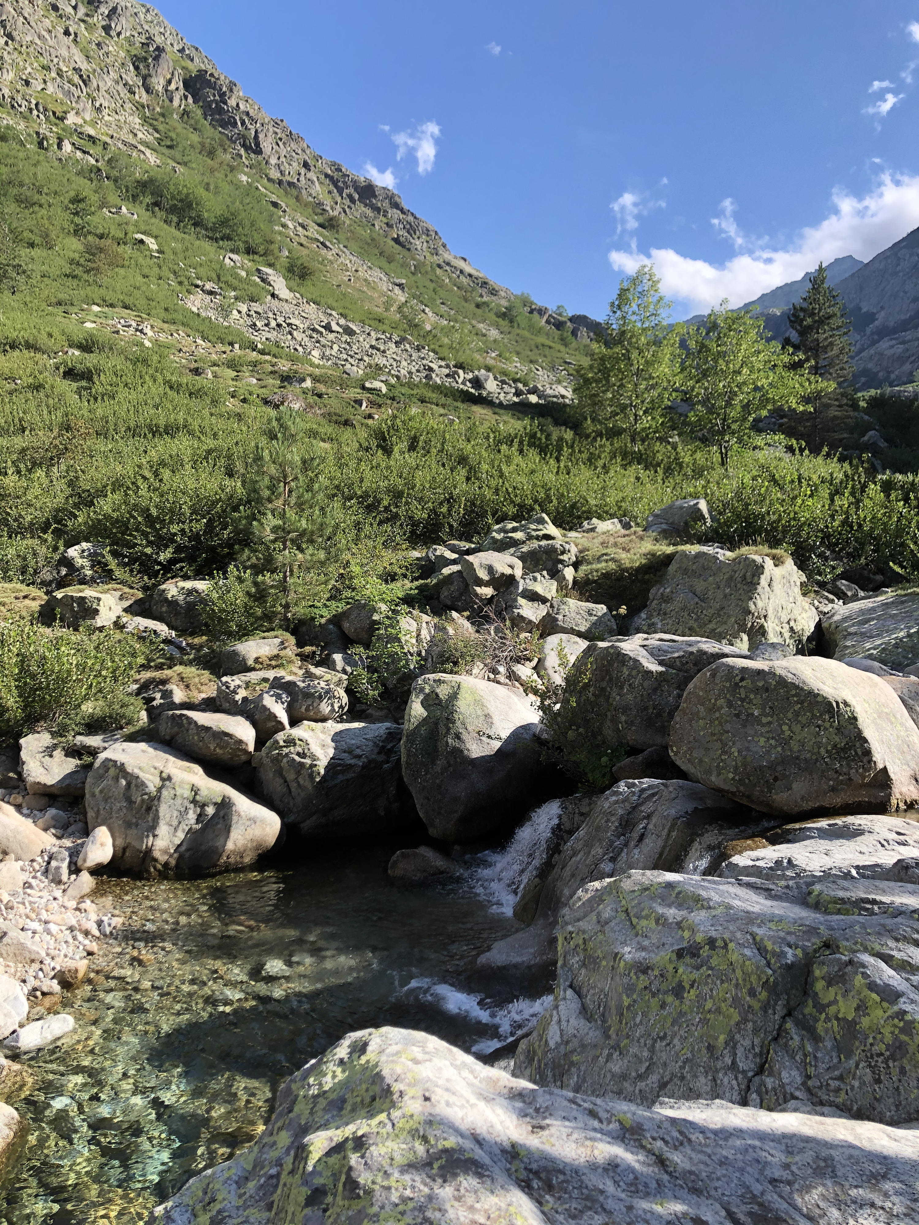 รูปถ่าย ฝรั่งเศส(France) คอร์สิคา(Corsica) หุบเขาลาเรสโตนีกา(La Restonica) 2020-07 62