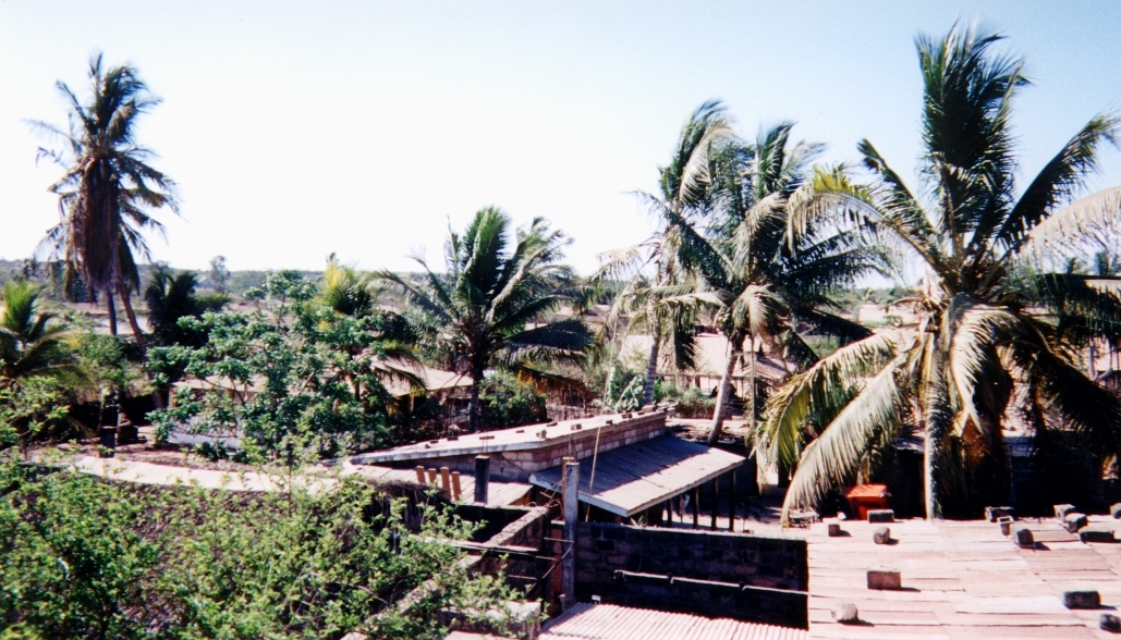 รูปถ่าย มาดากัสการ์(Madagascar) 1999-10 8