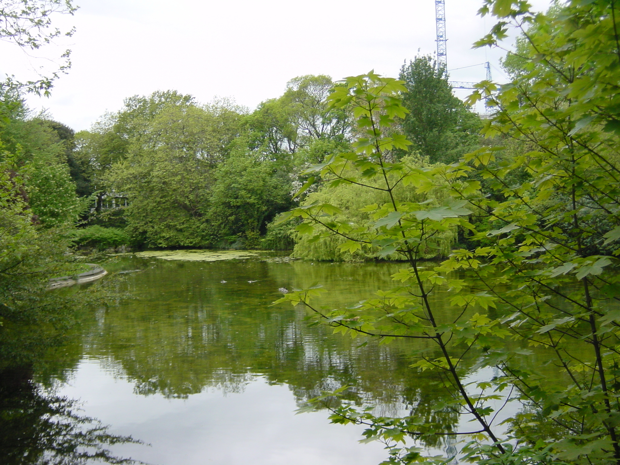 รูปถ่าย ไอร์แลนด์(Ireland) ดับลิน(Dublin) 2004-05 11