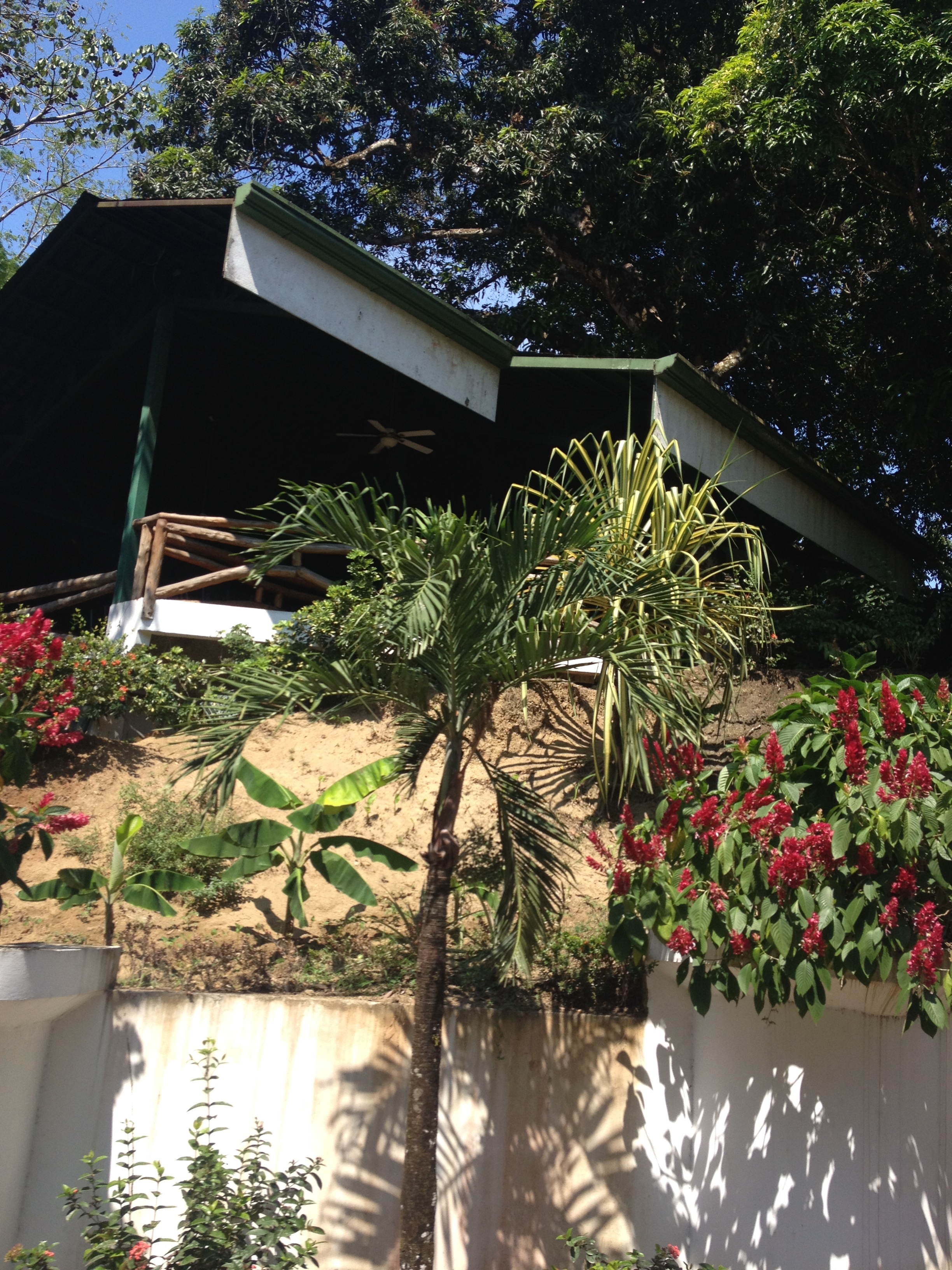 รูปถ่าย คอสตาริกา(Costa Rica) มานวยล์อันโตนีโอ(Manuel Antonio) 2015-03 256
