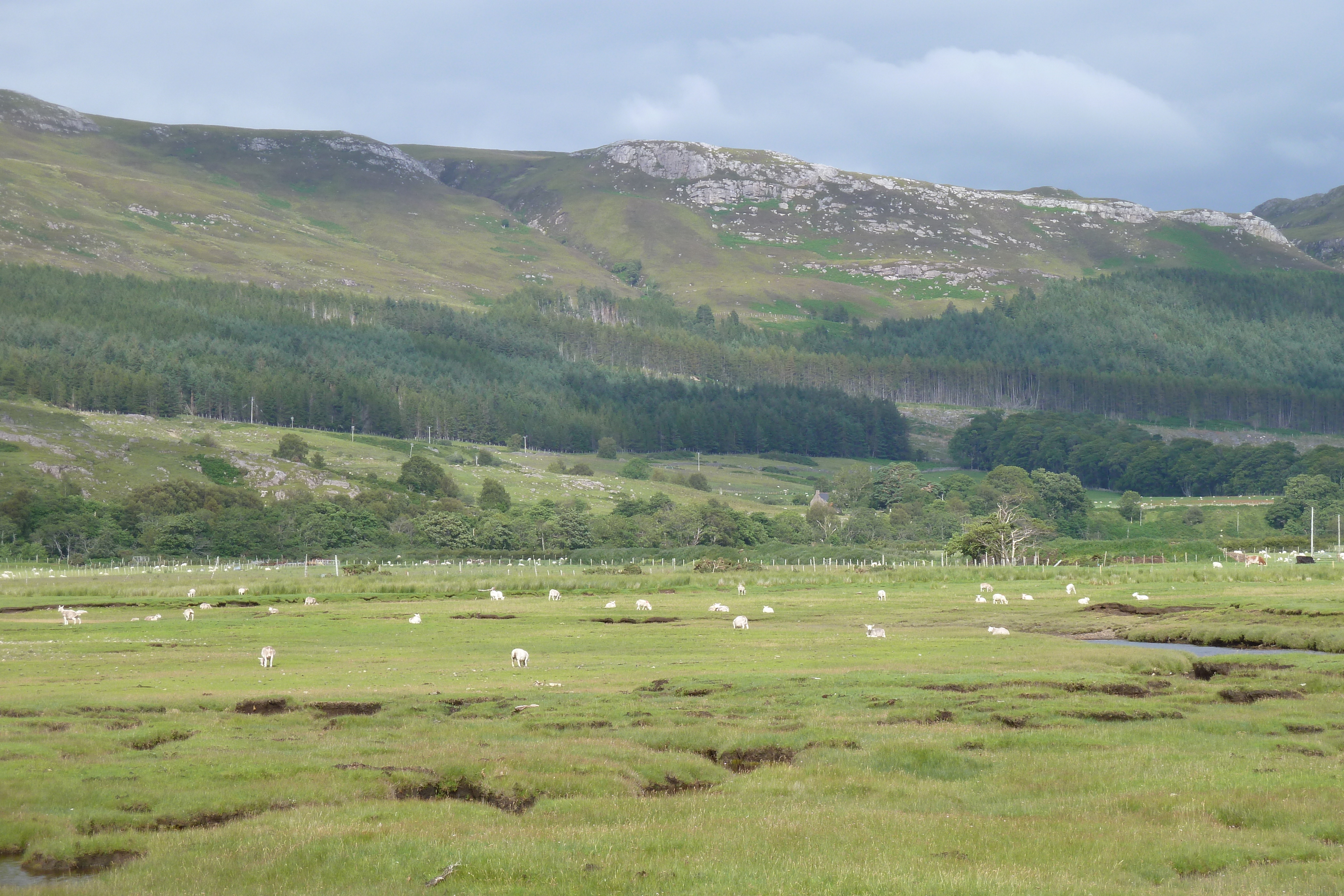 รูปถ่าย อังกฤษ(United Kingdom) เวสเตอร์รอสส์(Wester Ross) 2011-07 148