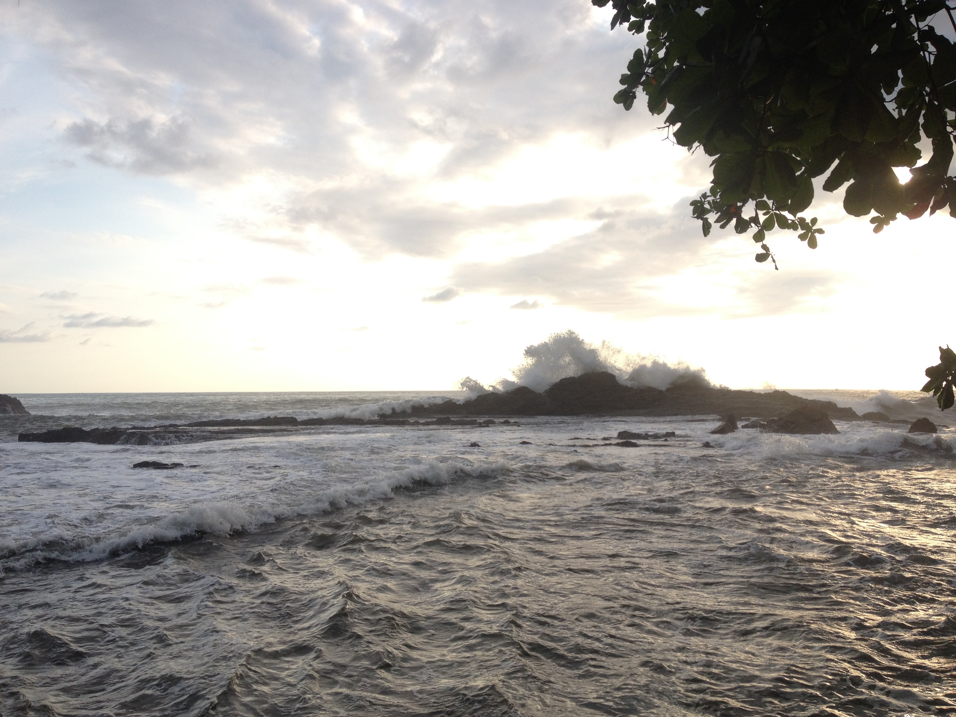รูปถ่าย คอสตาริกา(Costa Rica) โดมินิกัล(Dominical) 2015-03 27