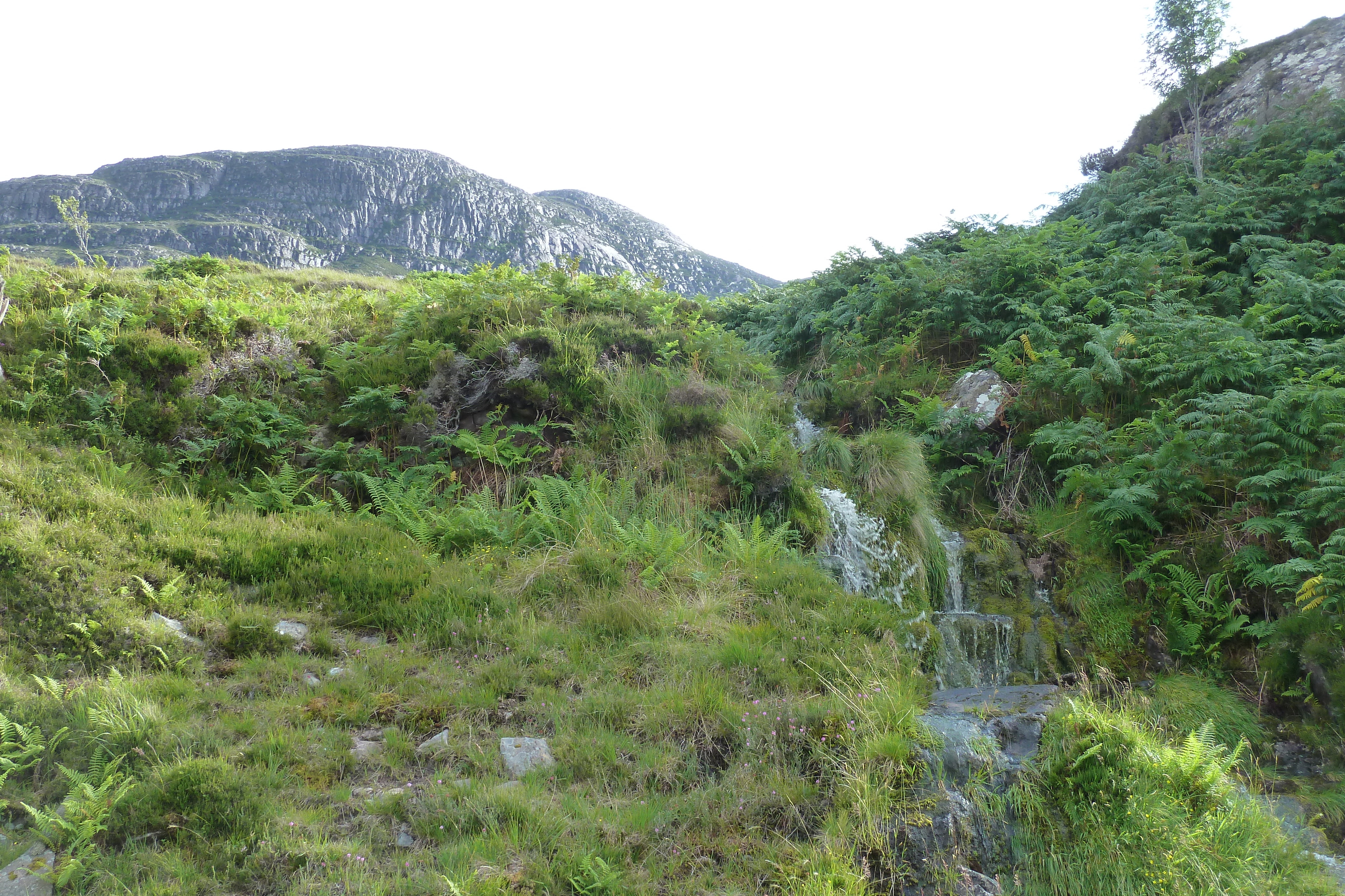 รูปถ่าย อังกฤษ(United Kingdom) เวสเตอร์รอสส์(Wester Ross) 2011-07 85