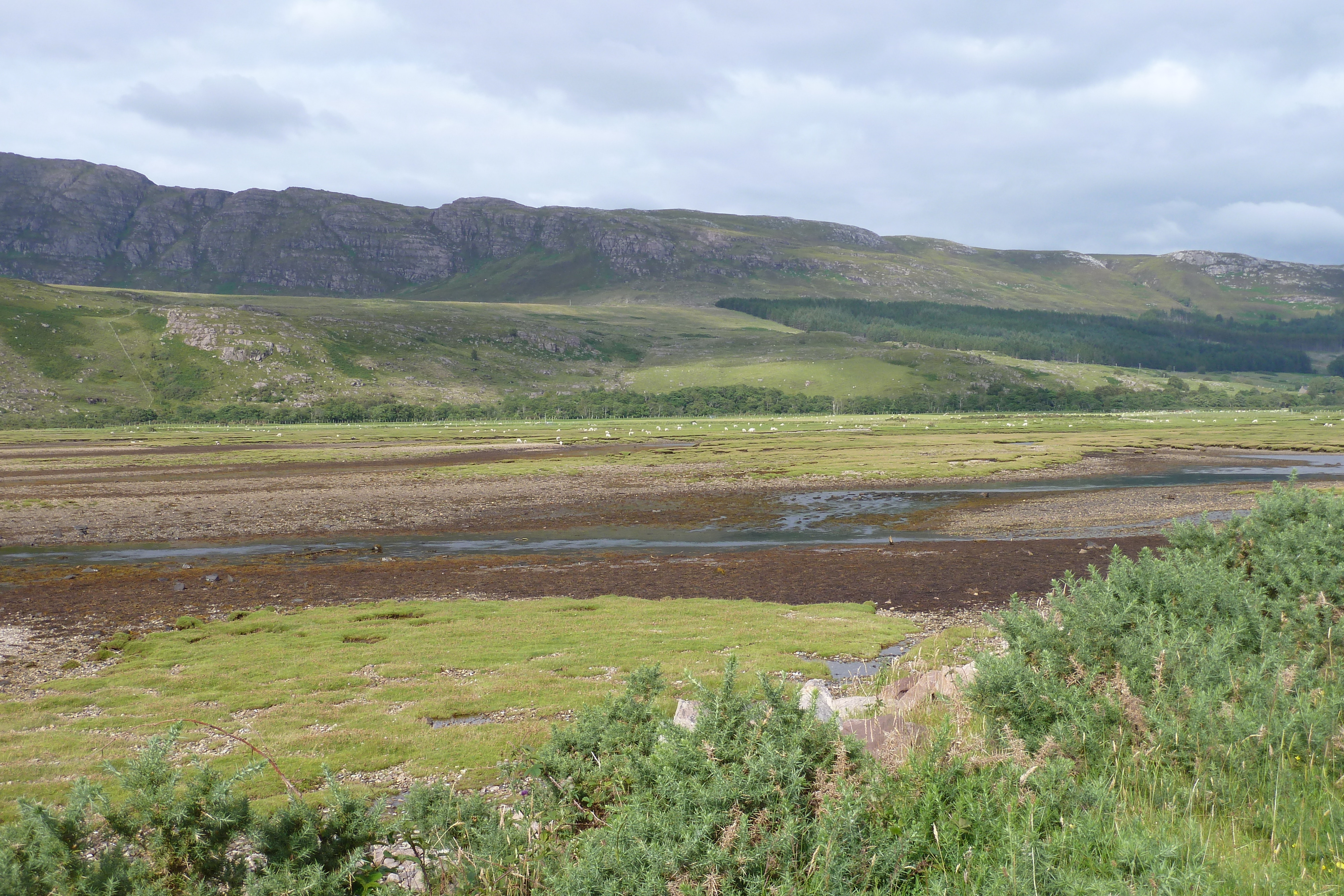 รูปถ่าย อังกฤษ(United Kingdom) เวสเตอร์รอสส์(Wester Ross) 2011-07 69