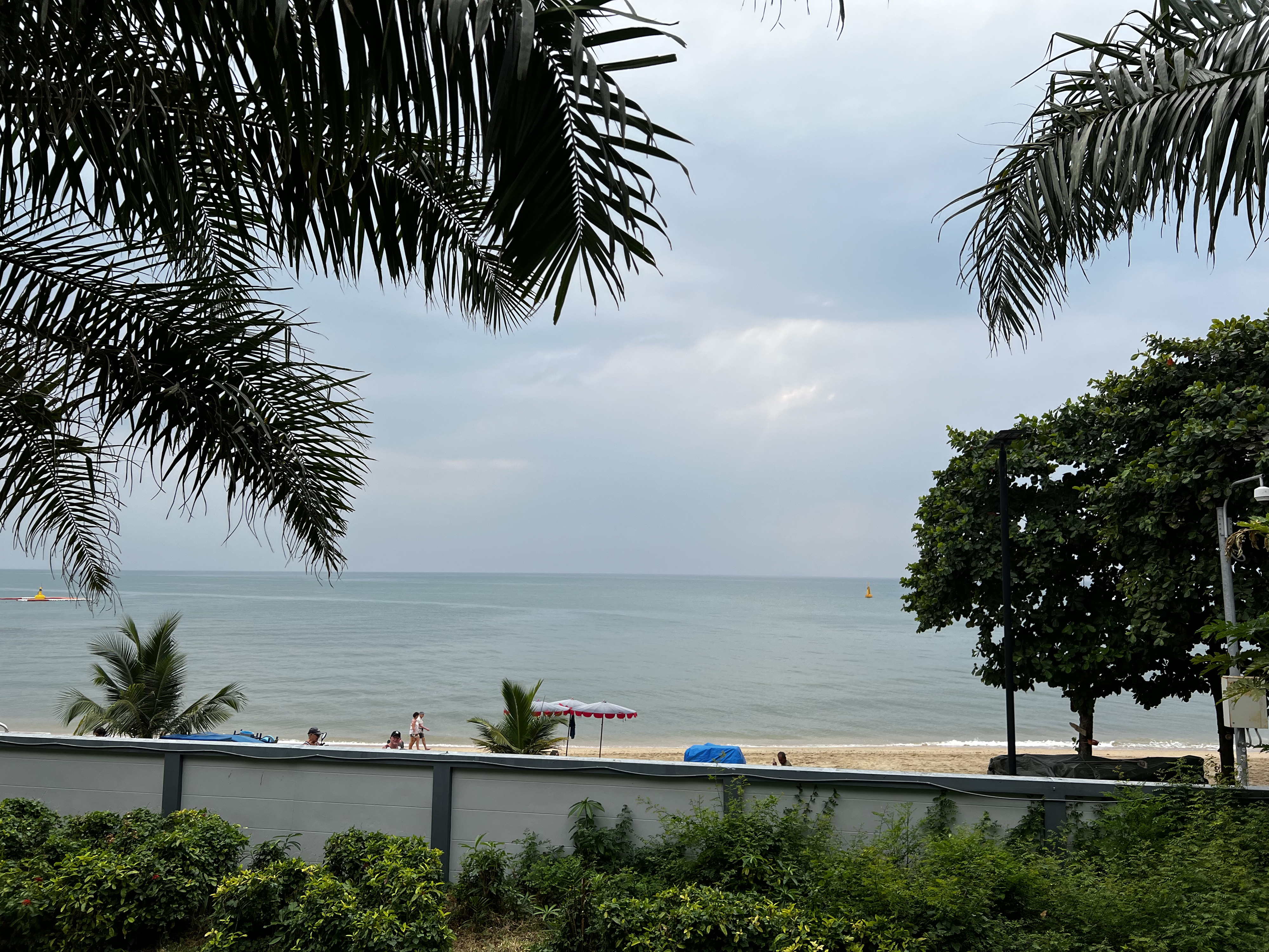 รูปถ่าย ไทย(Thailand) พัทยา(Pattaya) 2023-01 94