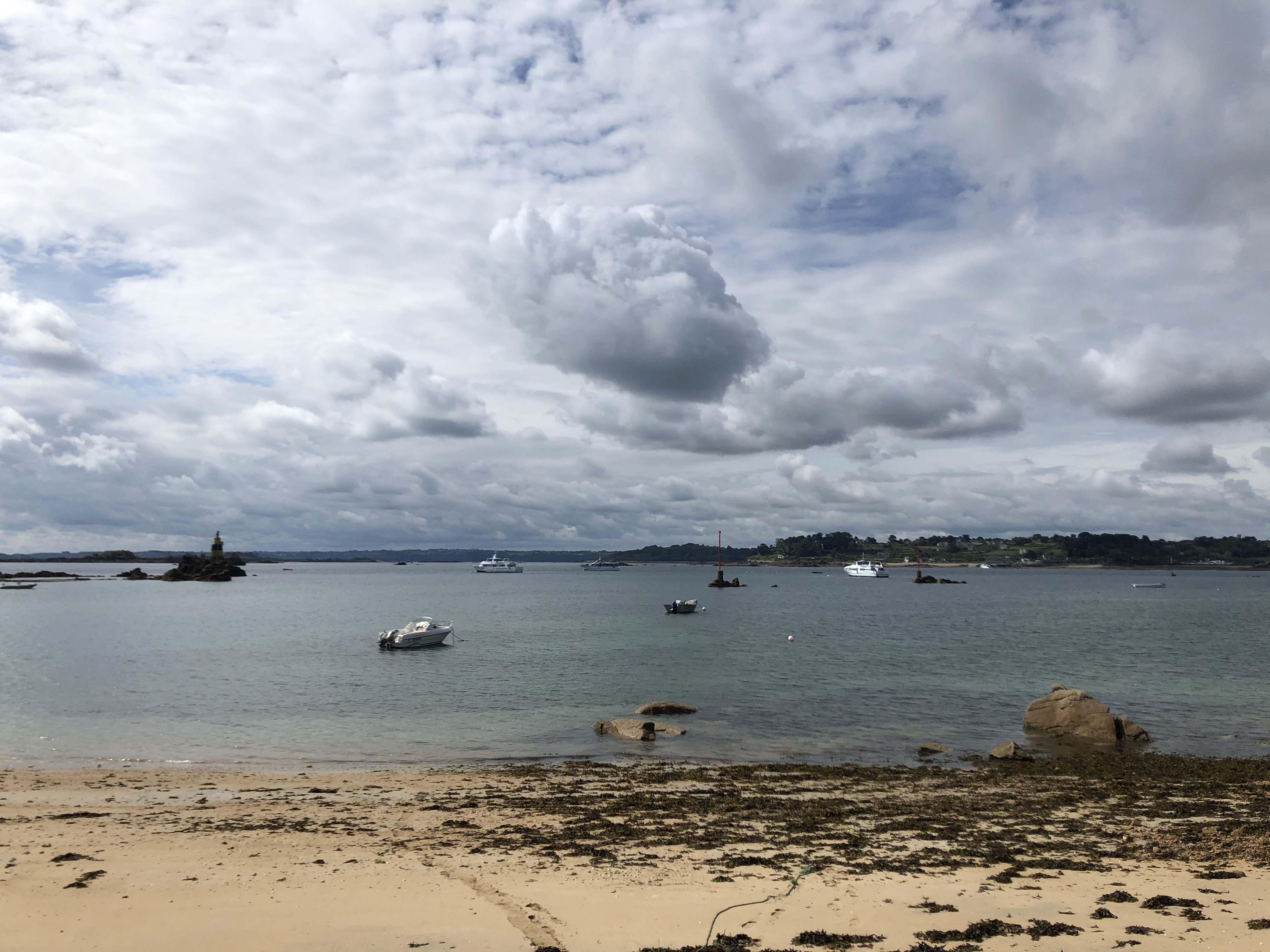 รูปถ่าย ฝรั่งเศส(France) เกาะเบรอา(Brehat Island) 2020-06 121