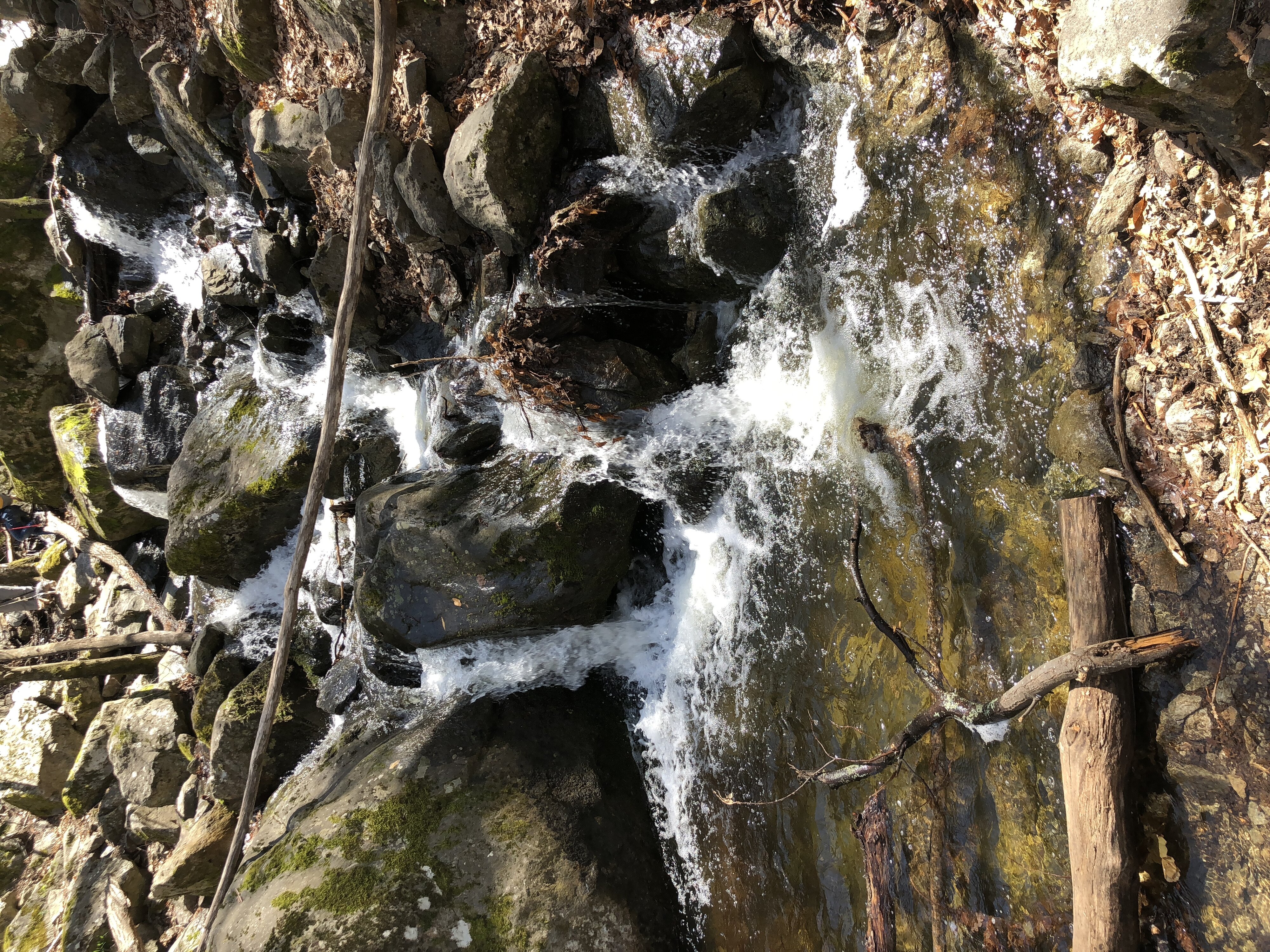 รูปถ่าย ฝรั่งเศส(France) แอบบีแซ็งมาร์แต็งดูกานีกู(Abbaye Saint Martin du Canigou) 2018-04 175
