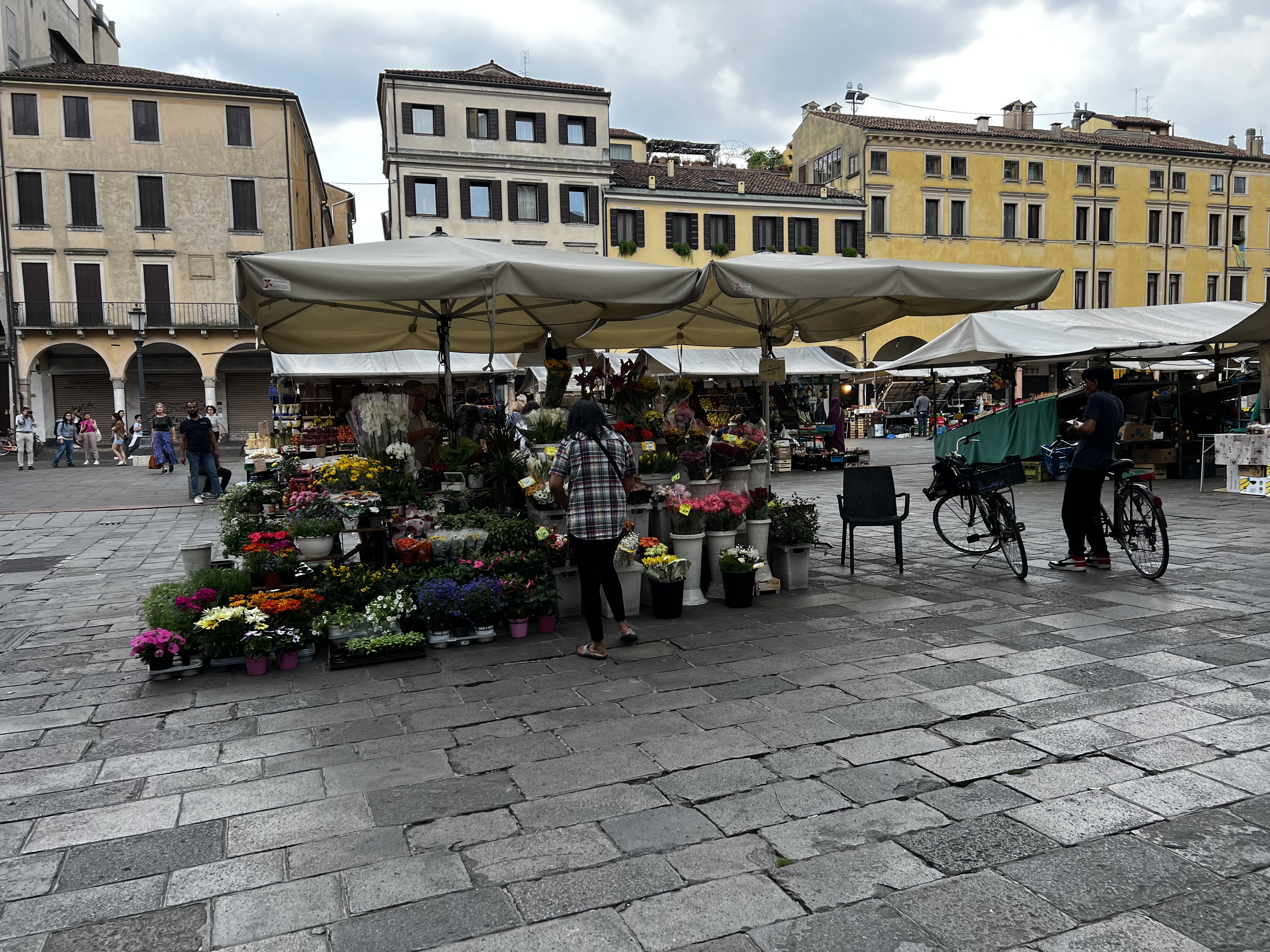 รูปถ่าย อิตาลี(Italy) ปาโดวา(Padua) 2022-05 7