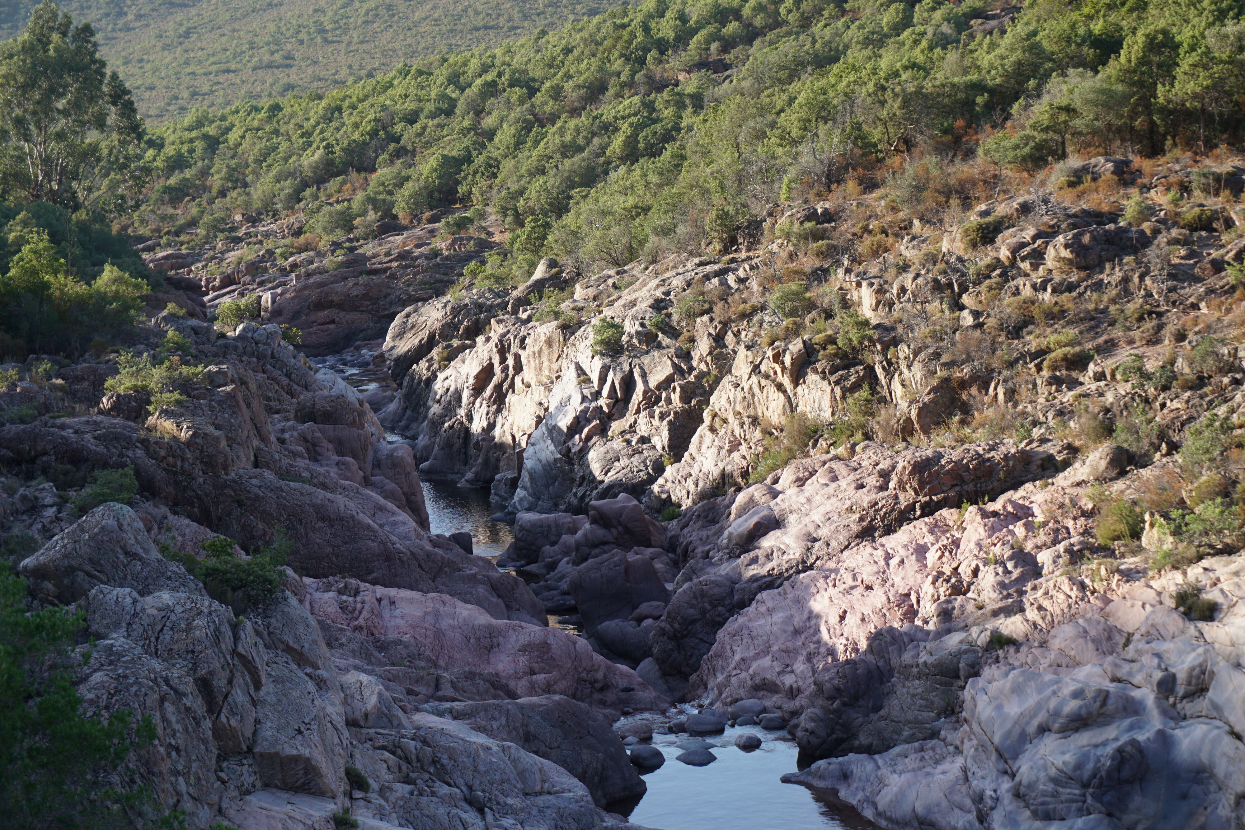 รูปถ่าย ฝรั่งเศส(France) คอร์สิคา(Corsica) แม่น้ำฟังโก(Fango river) 2017-07 8