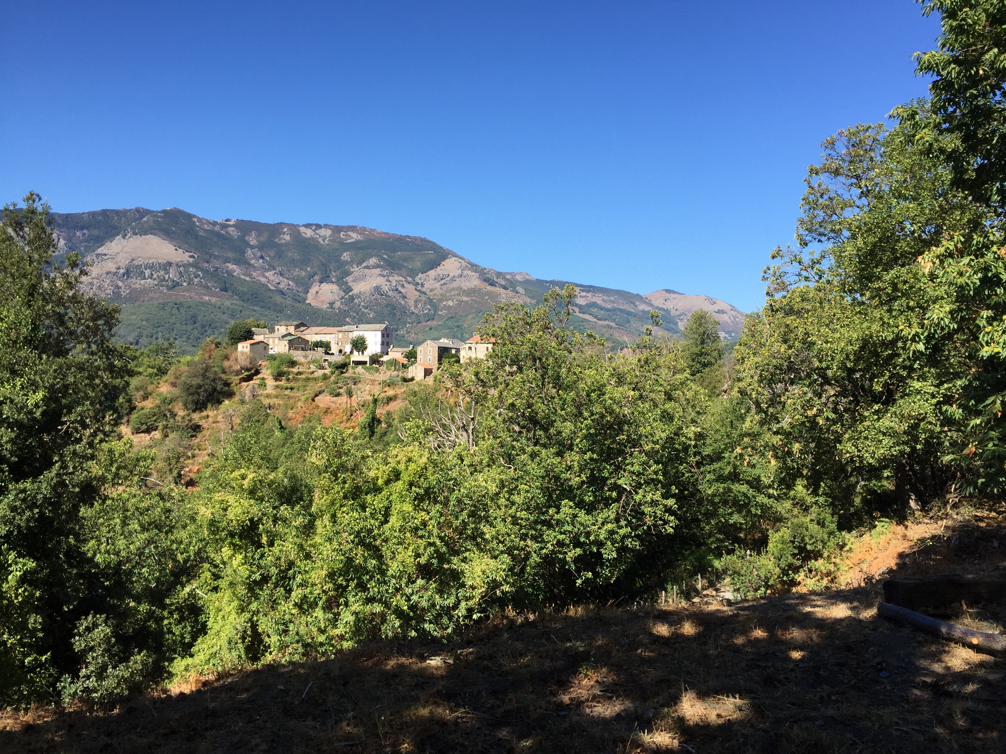 รูปถ่าย ฝรั่งเศส(France) คอร์สิคา(Corsica) เฟลเช(Felce) 2017-09 6