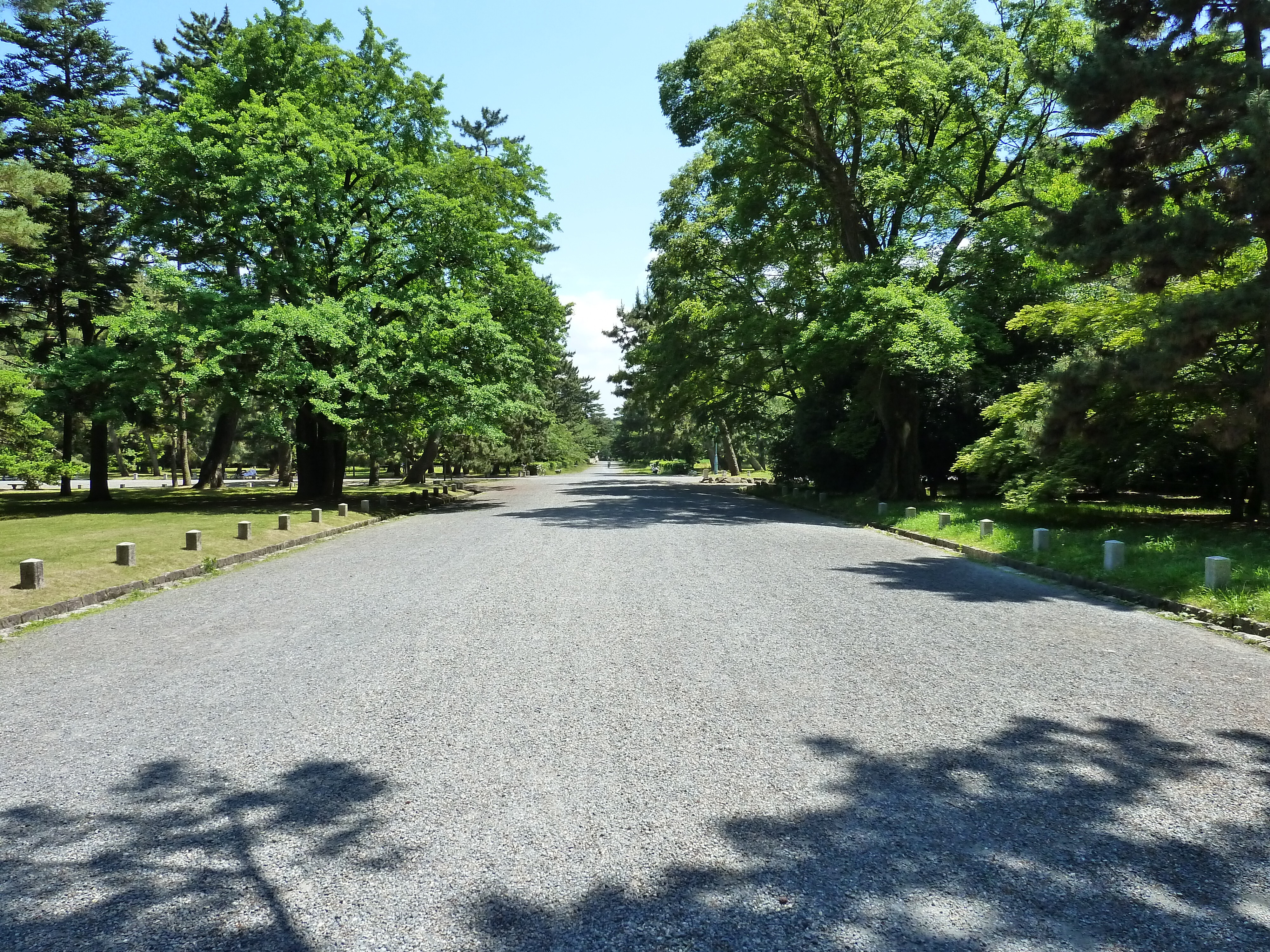 รูปถ่าย ญี่ปุ่น(Japan) เกียวโต(Kyoto) สวนเกียวโตเกียวเอ็ง(Kyoto Gyoen Garden) 2010-06 4