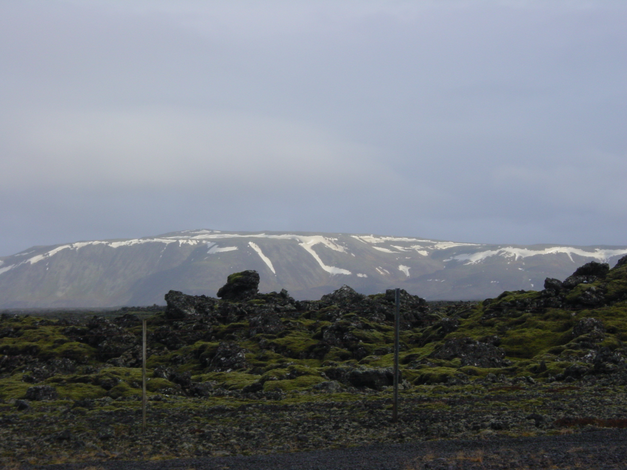 รูปถ่าย ไอซ์แลนด์(Iceland) เรกยะเนส(Reykjanes) 2003-03 24