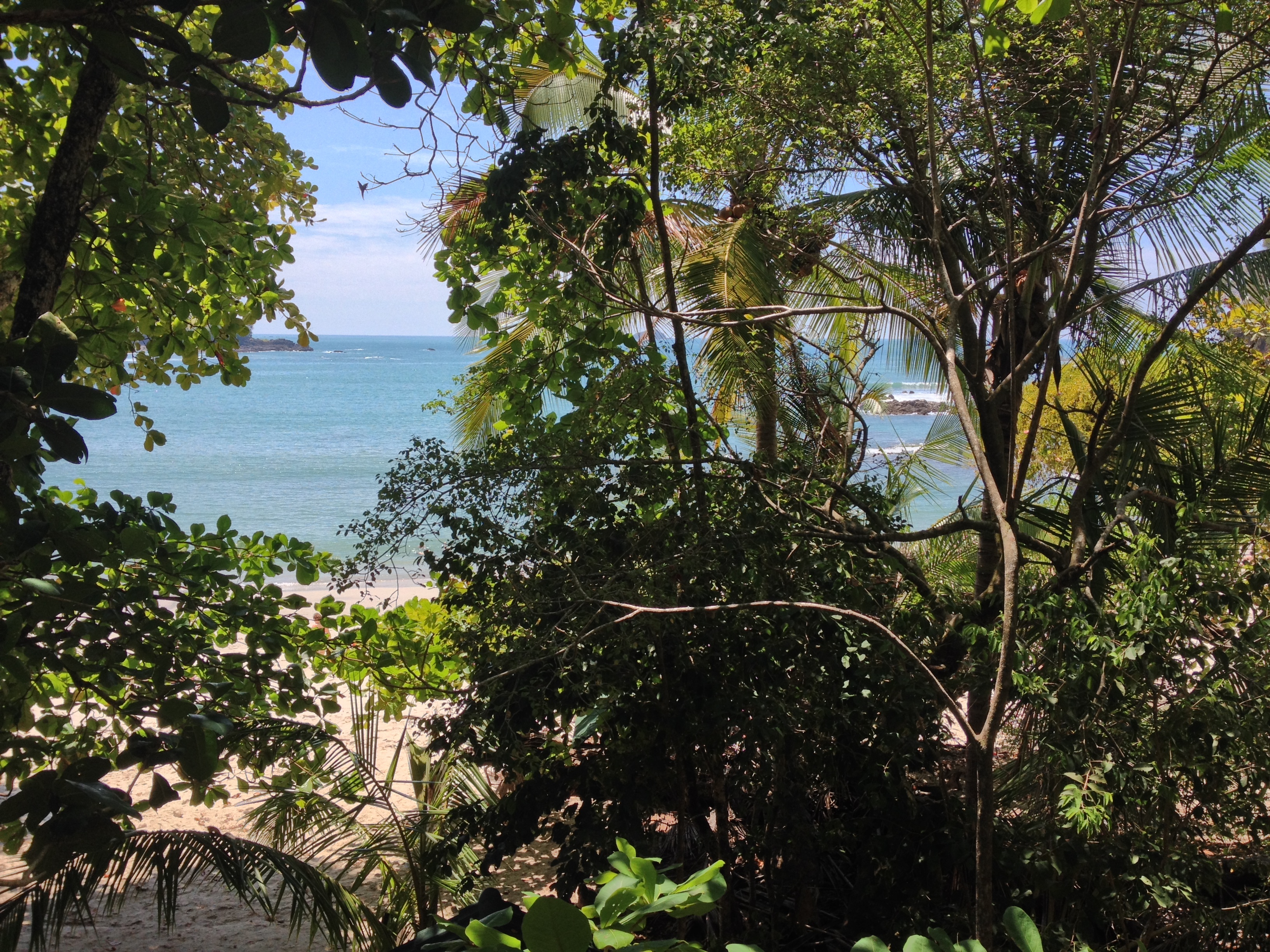 รูปถ่าย คอสตาริกา(Costa Rica) มานวยล์อันโตนีโอ(Manuel Antonio) 2015-03 311