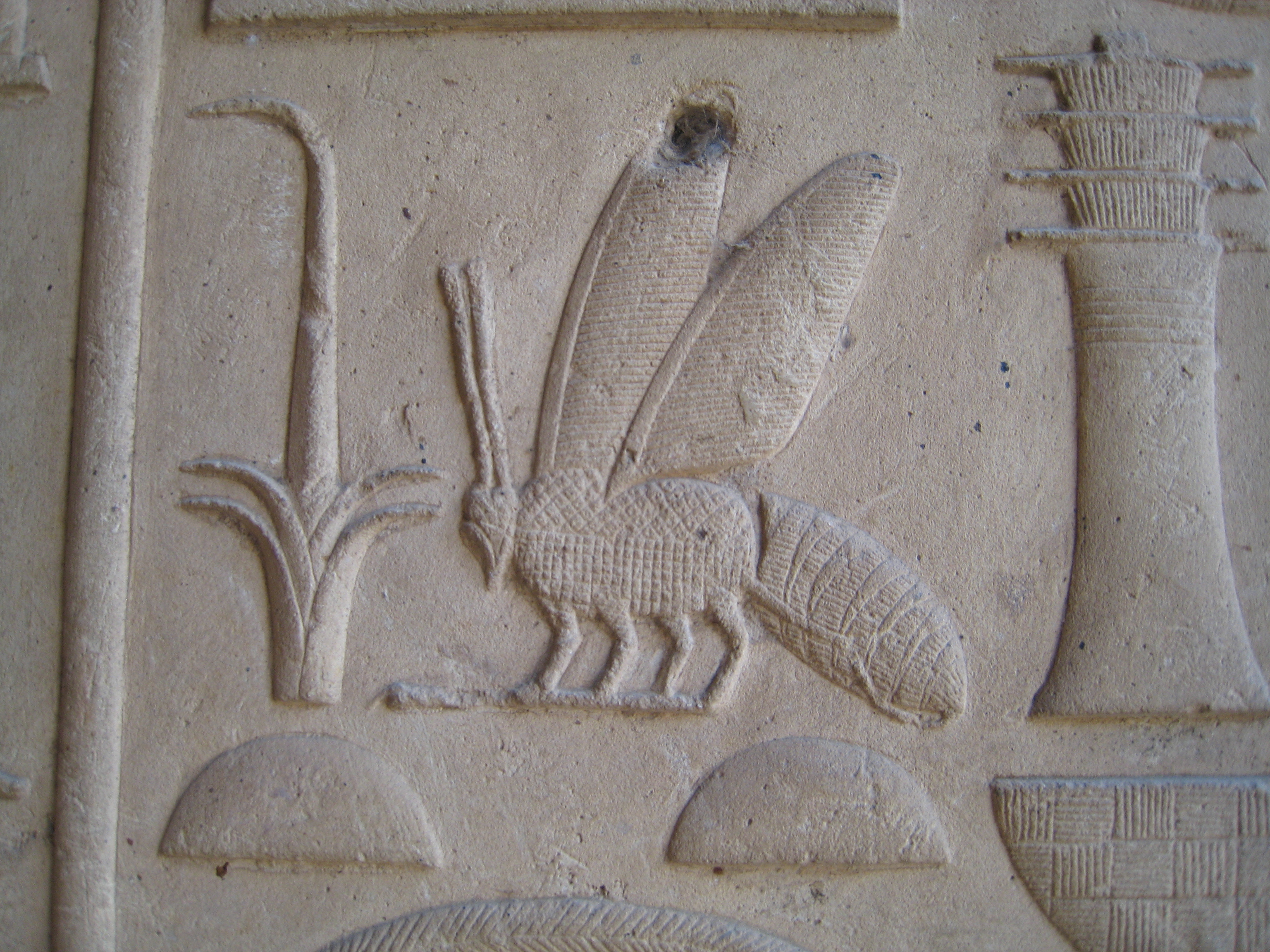 รูปถ่าย อียิปต์(Egypt) ลูซอร์(Luxor) 2007-04 25