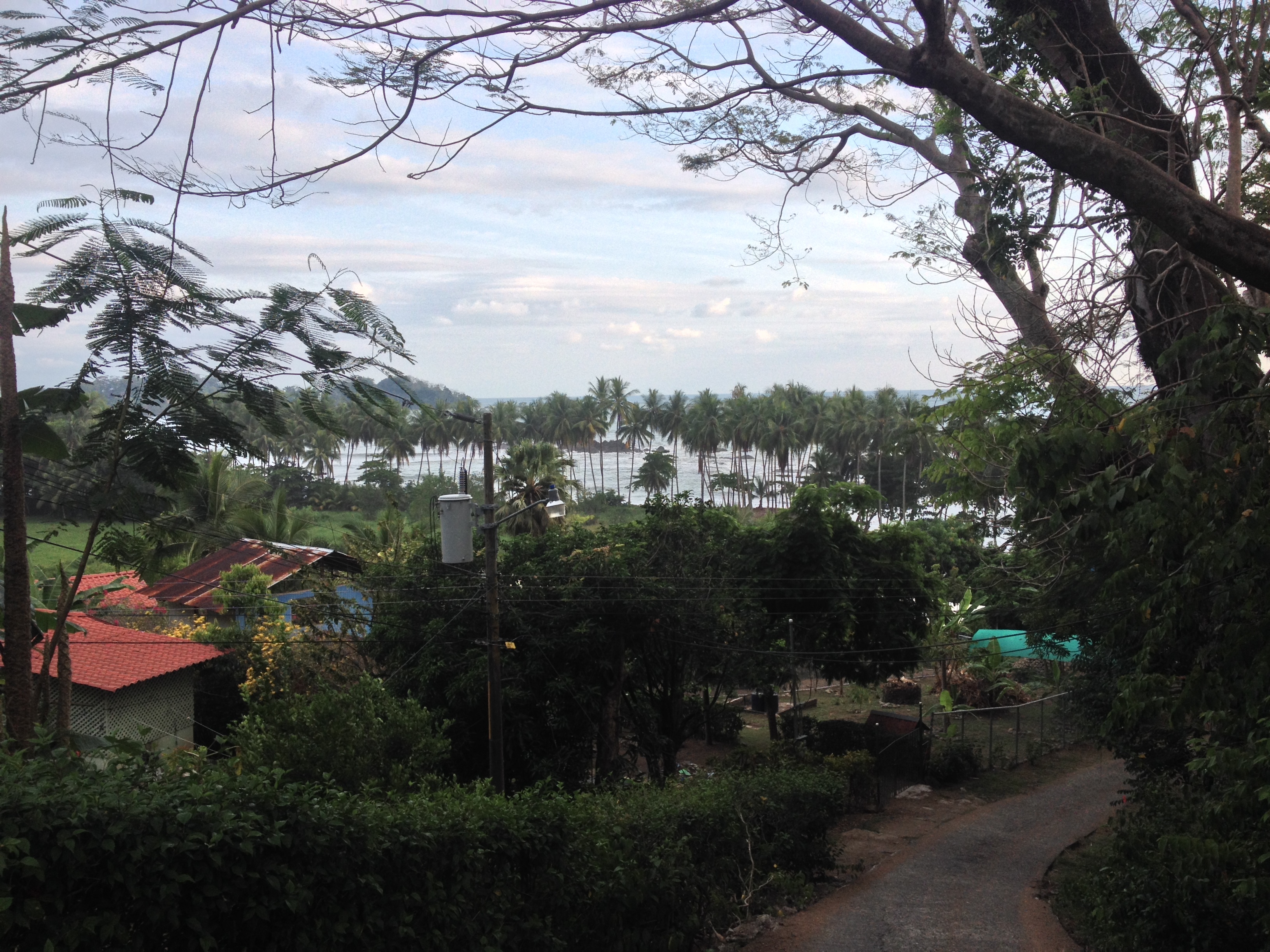 รูปถ่าย คอสตาริกา(Costa Rica) โดมินิกัล(Dominical) 2015-03 37