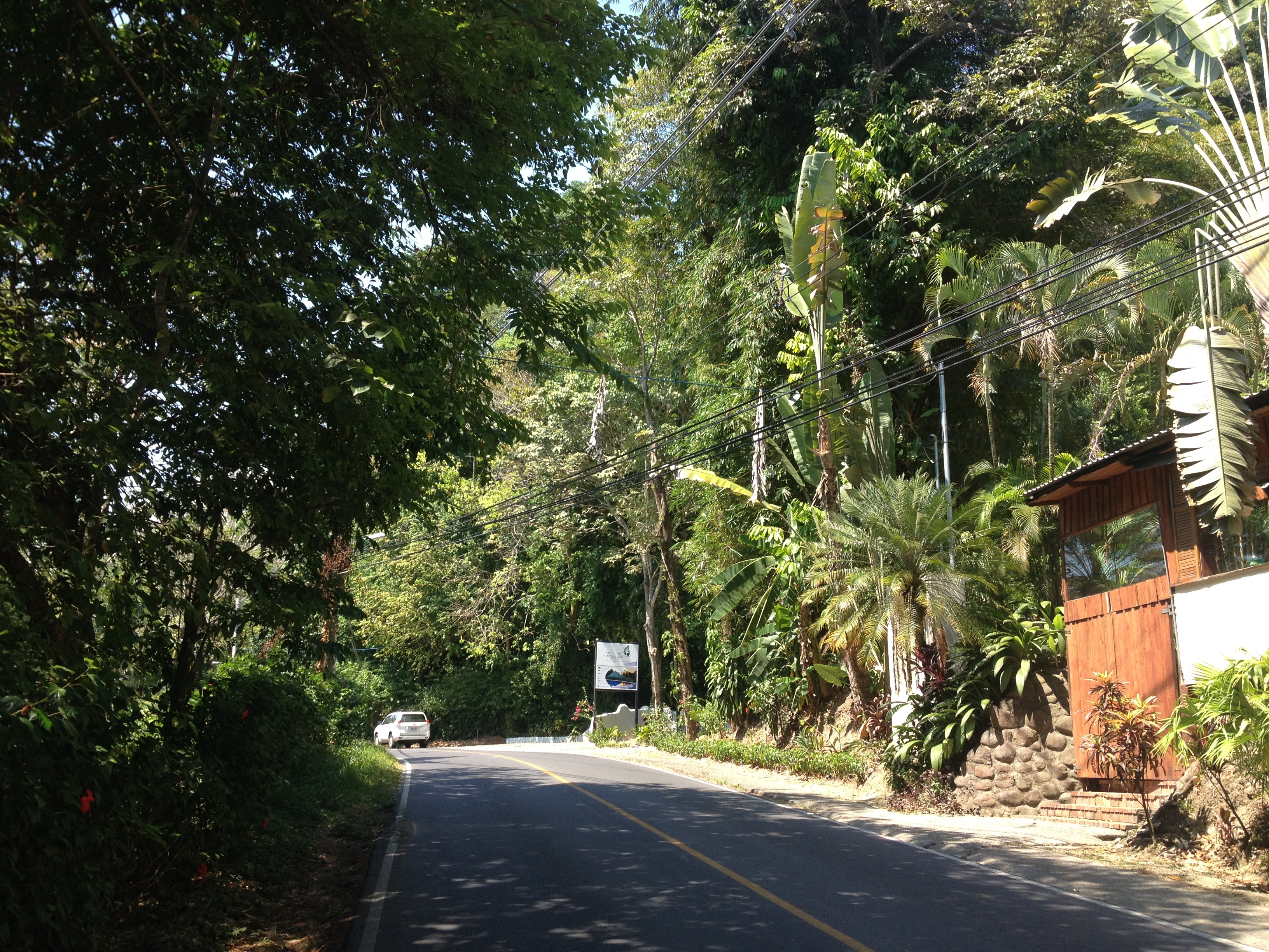 รูปถ่าย คอสตาริกา(Costa Rica) มานวยล์อันโตนีโอ(Manuel Antonio) 2015-03 71