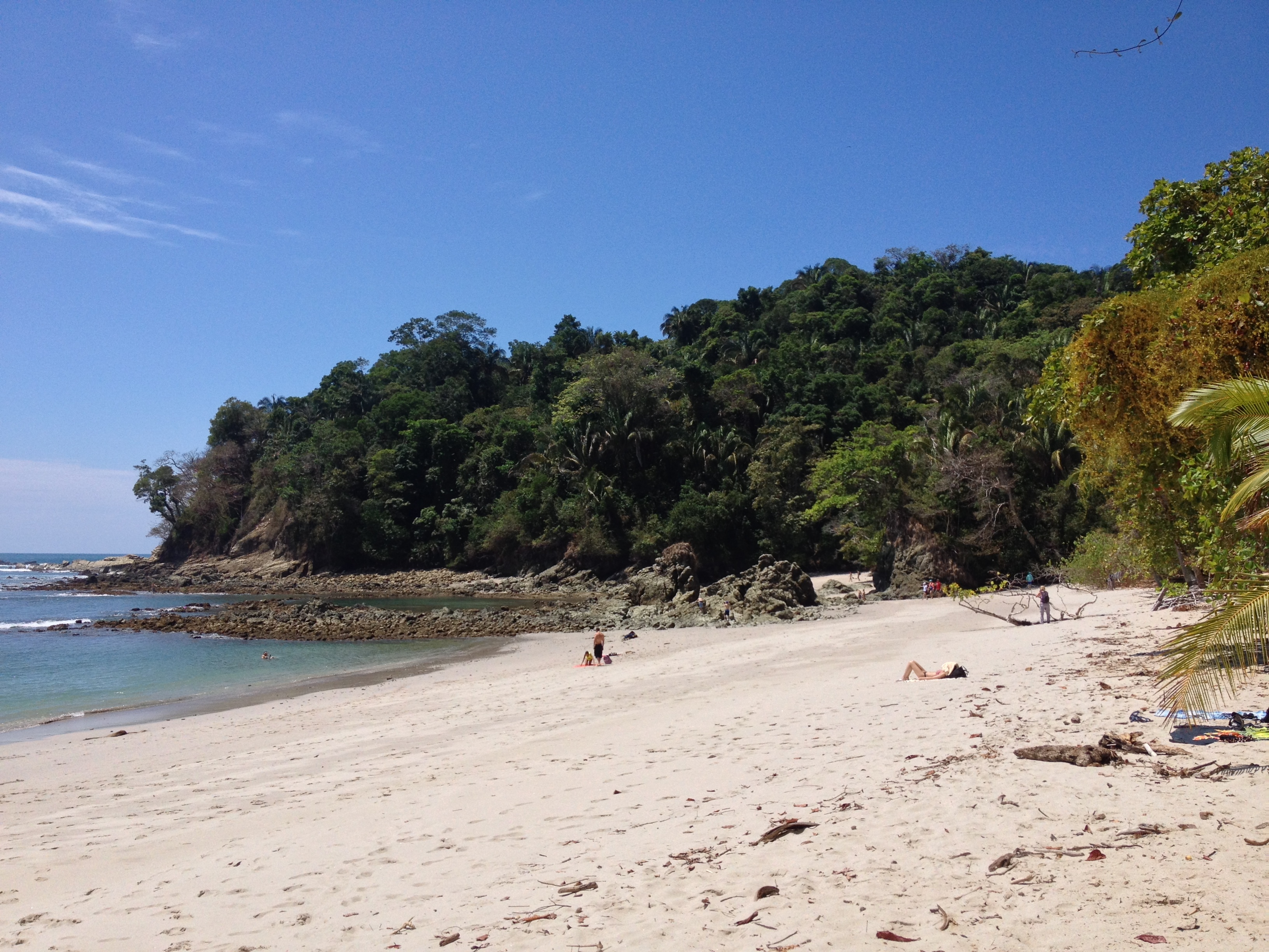 รูปถ่าย คอสตาริกา(Costa Rica) มานวยล์อันโตนีโอ(Manuel Antonio) 2015-03 163