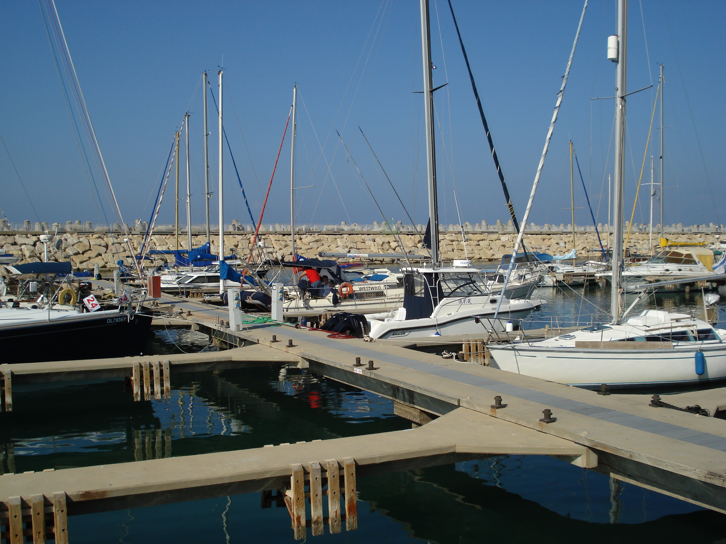 รูปถ่าย อิสราเอล(Israel) เฮิร์สลียา(Herzliya) 2006-12 1