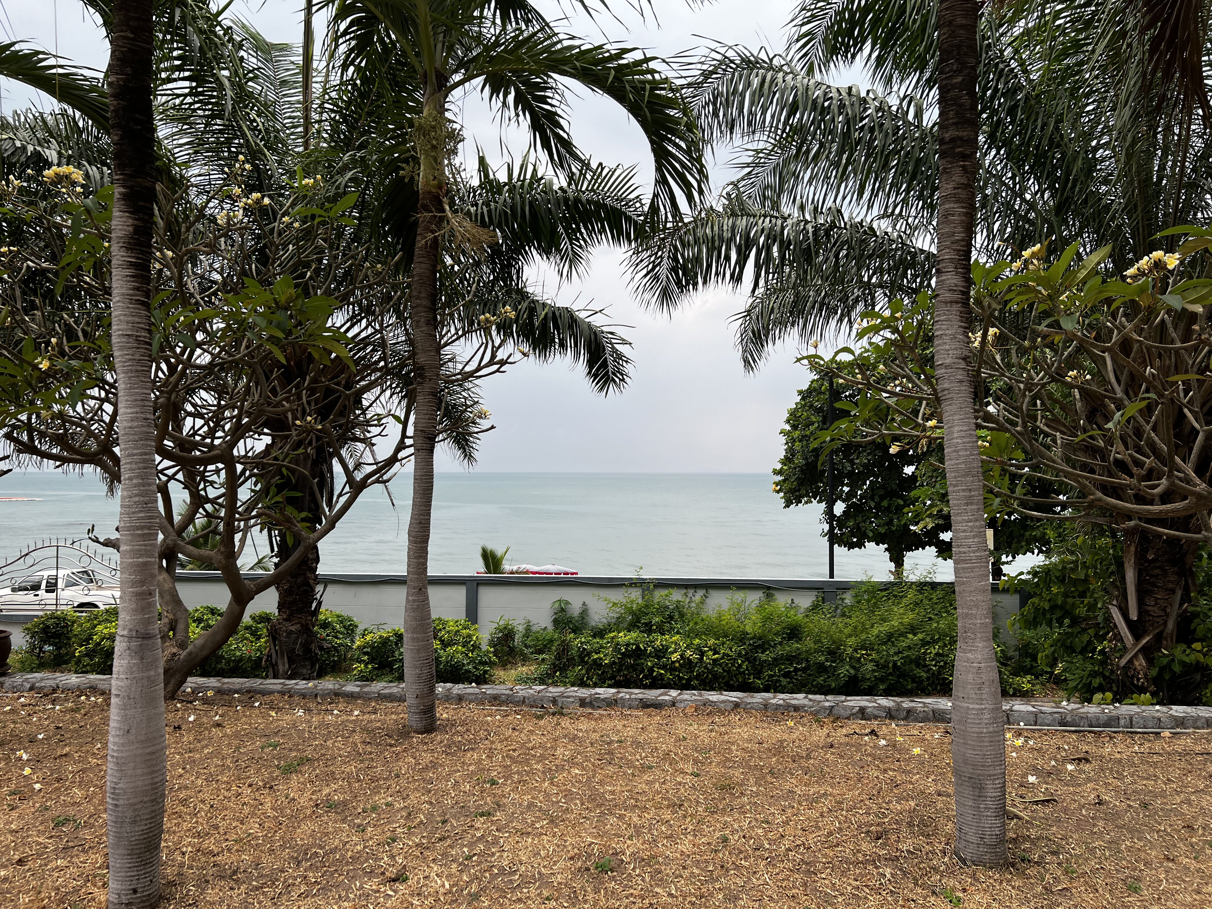 รูปถ่าย ไทย(Thailand) พัทยา(Pattaya) 2023-01 7