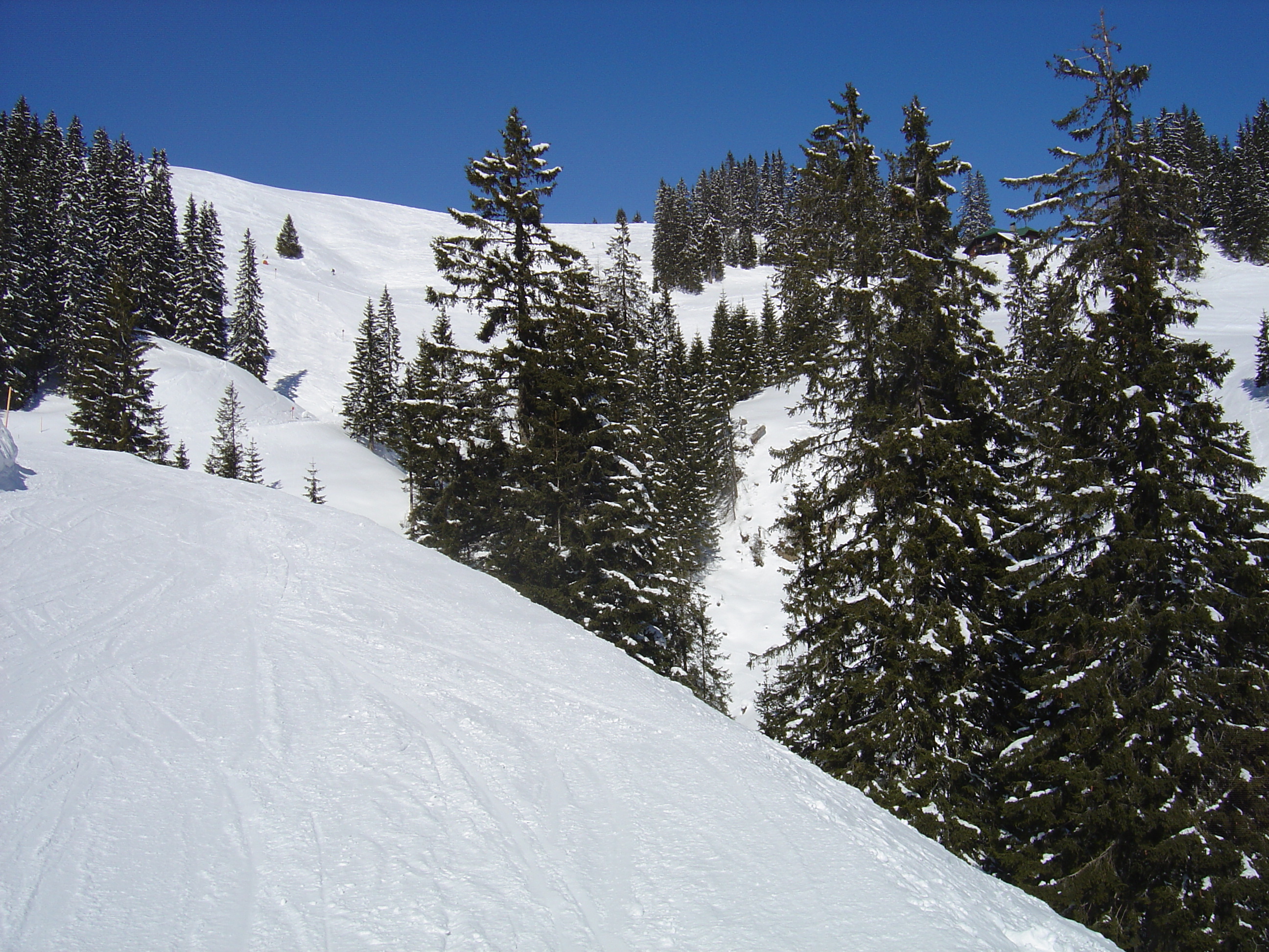 รูปถ่าย ออสเตรีย(Austria) คิทซ์บูเฮล(Kitzbuhel) สกี(Ski) 2005-03 108