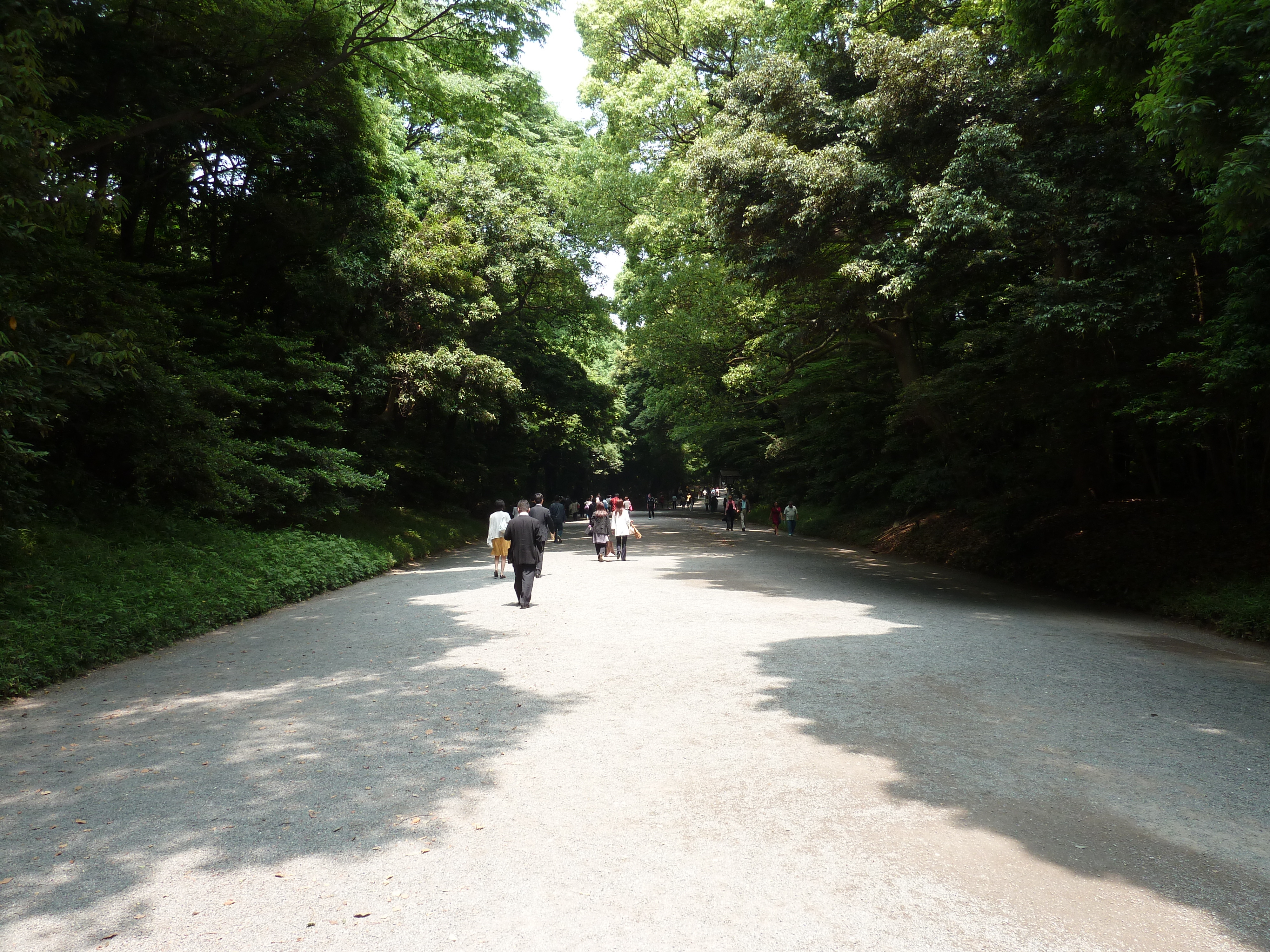 รูปถ่าย ญี่ปุ่น(Japan) โตเกียว(Tokyo) สวนโยโยงิ(Yoyogi Park) 2010-06 15