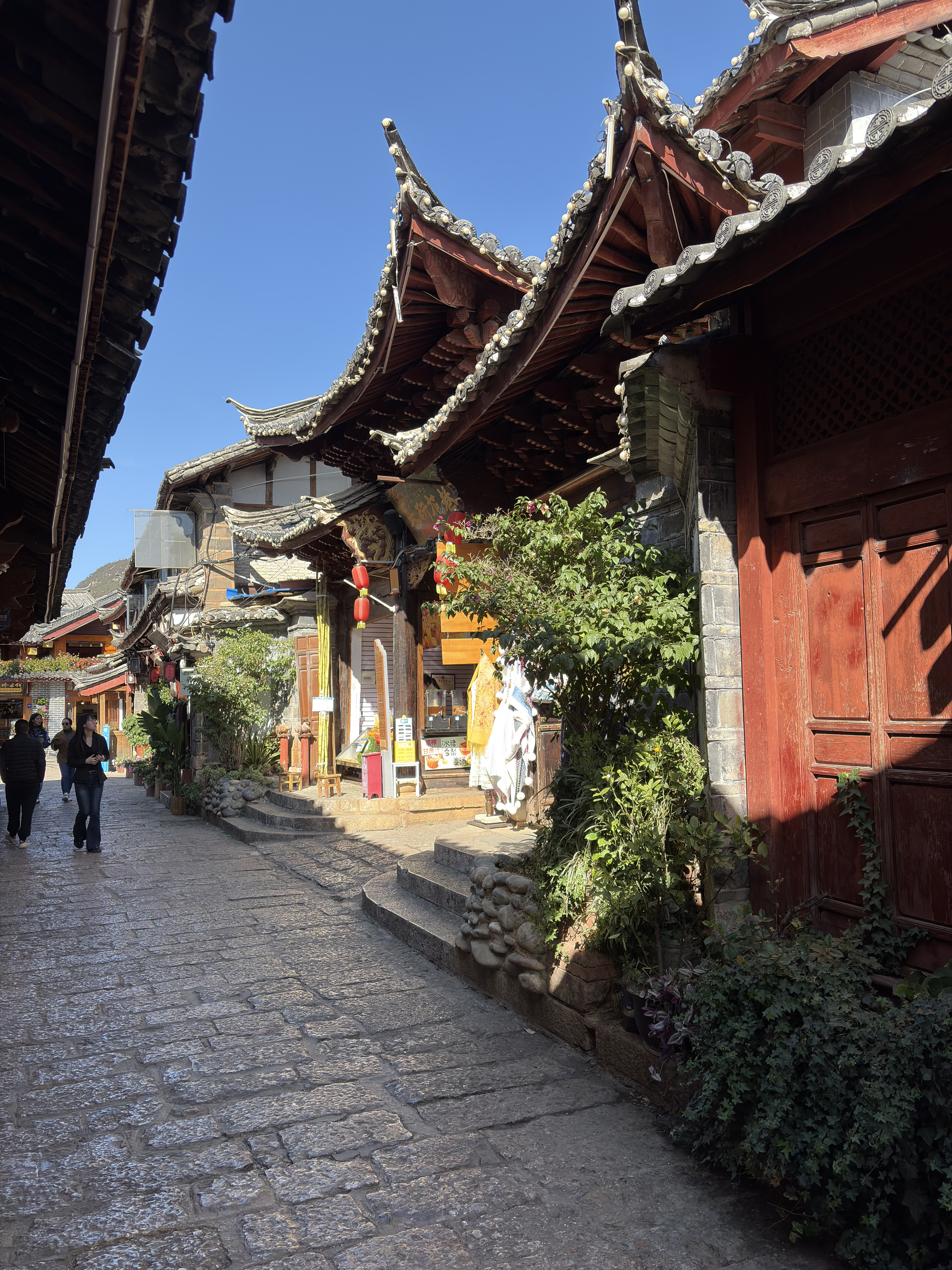 รูปถ่าย จีน(China) ลี่เจียง(Lijiang) 2026-01 633